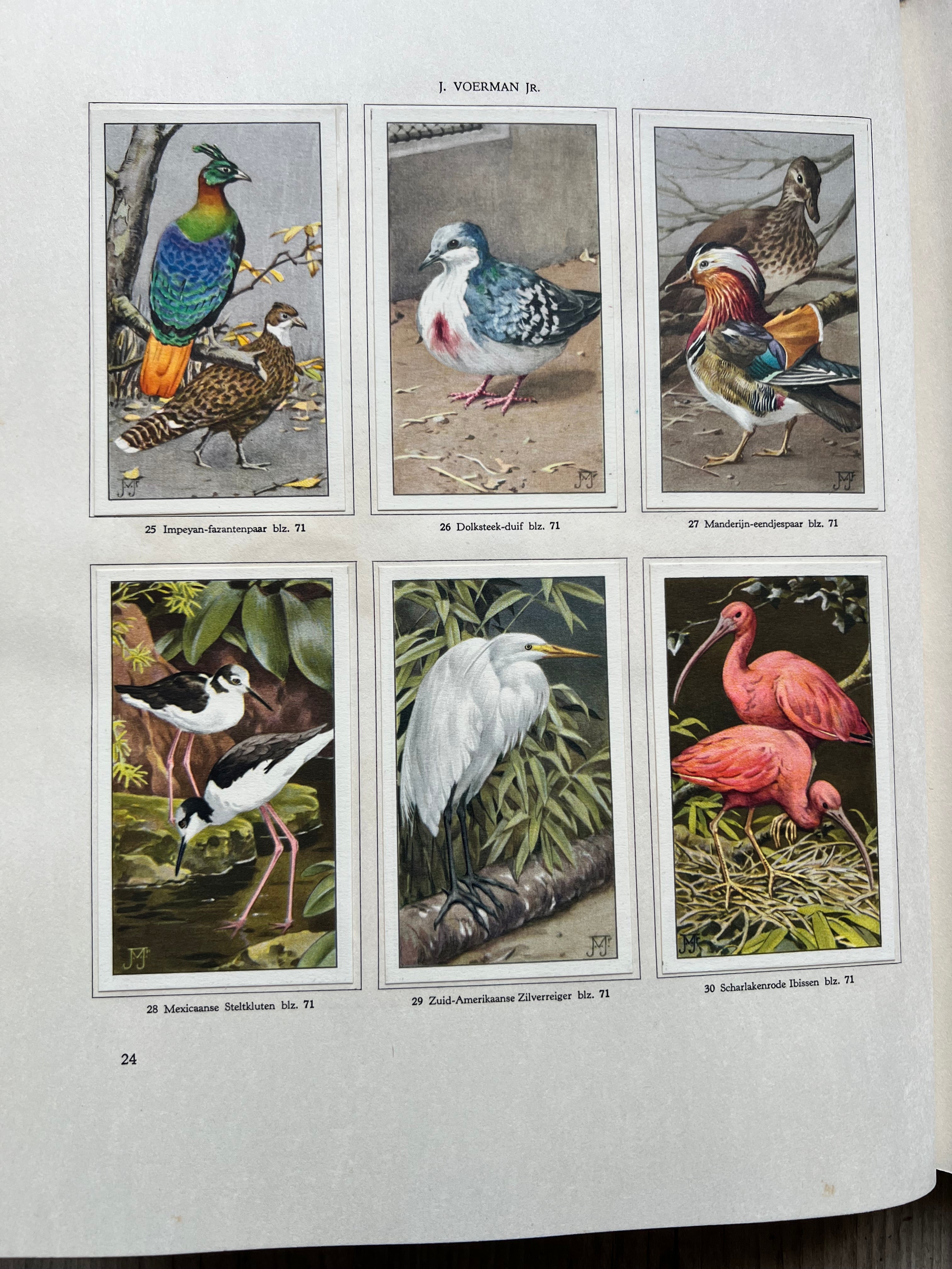 Dieren leven in Artis