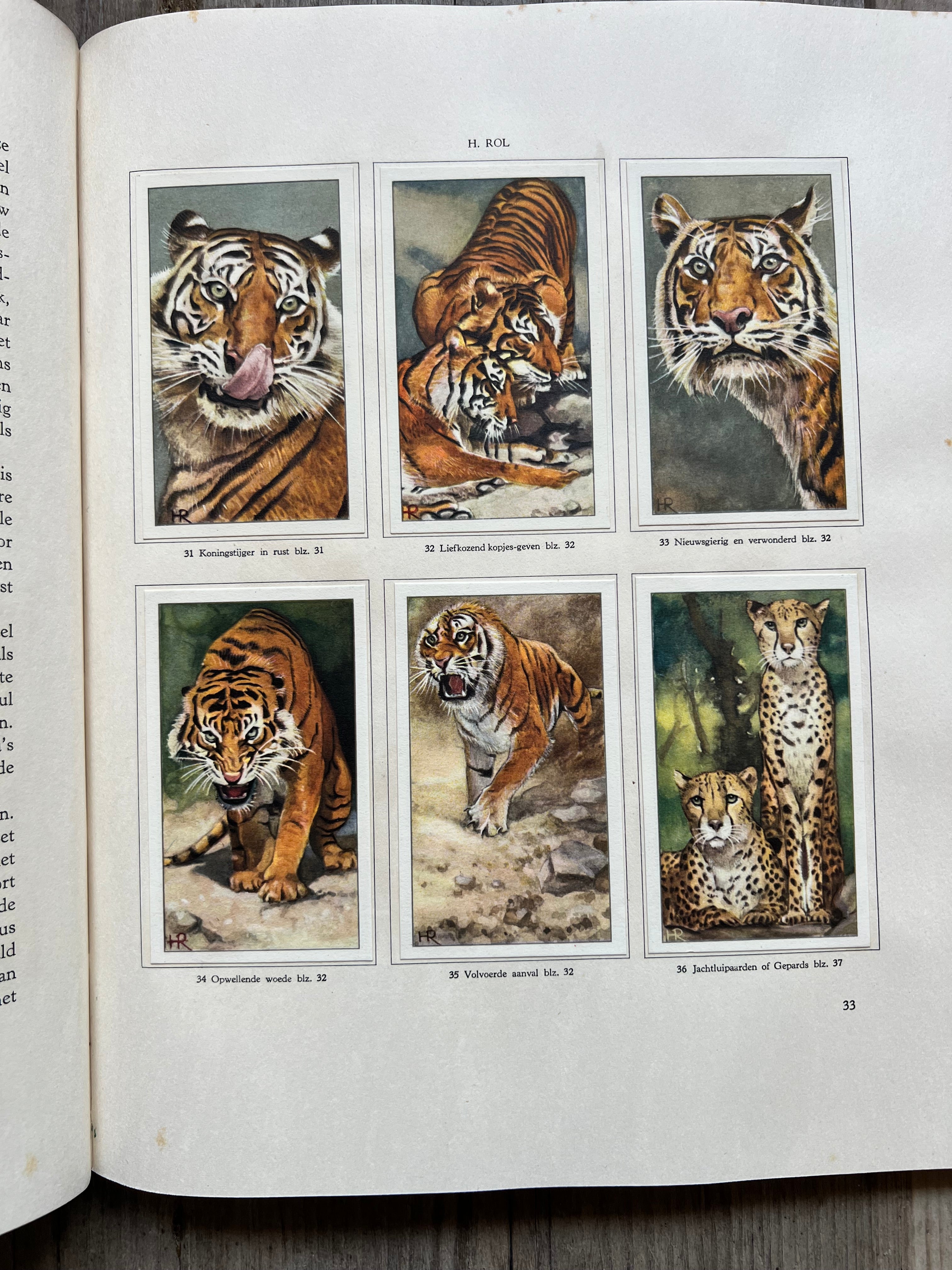 Vintage Verkade album Dierenleven in Artis