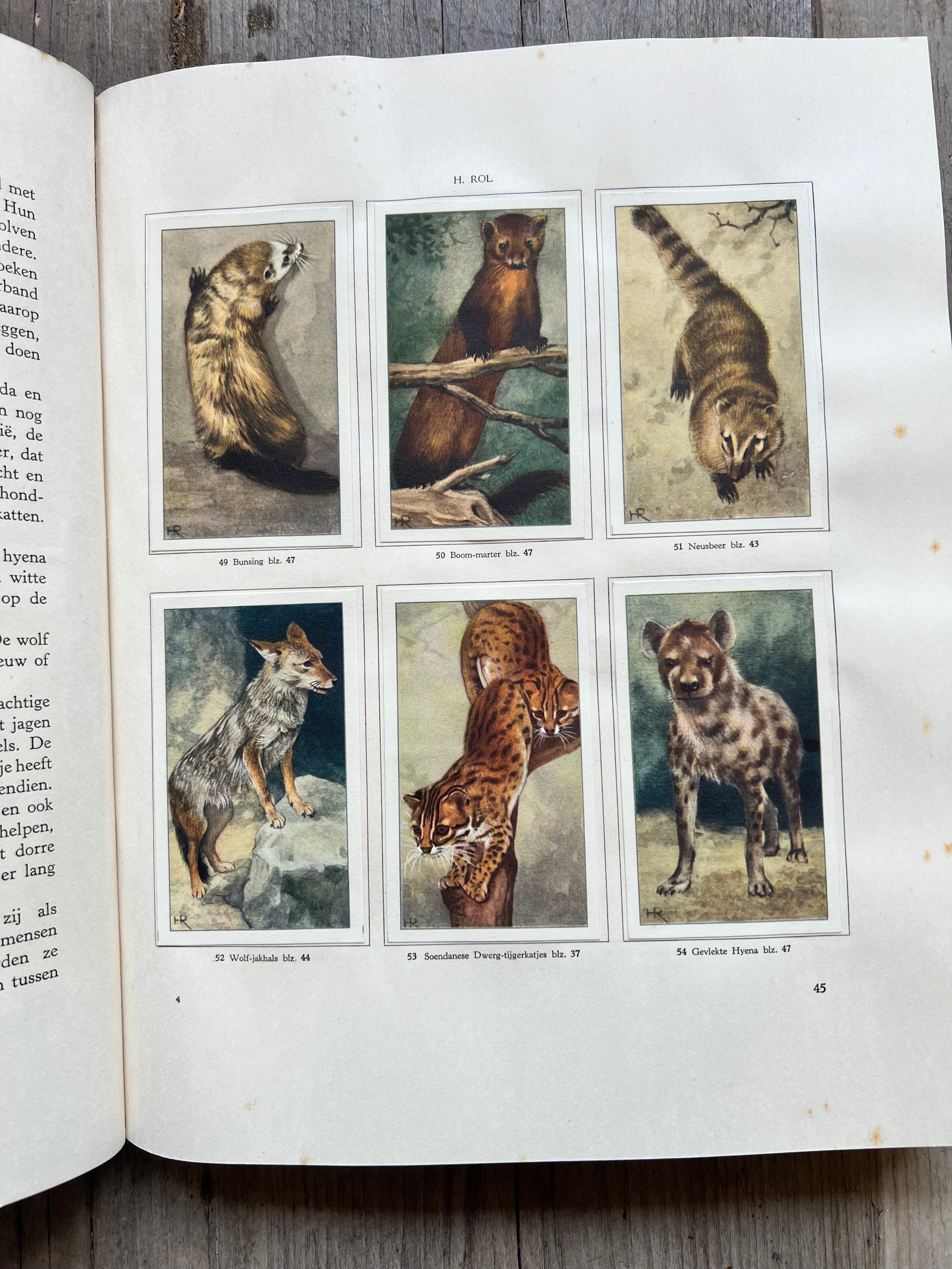Vintage Verkade album Dierenleven in Artis