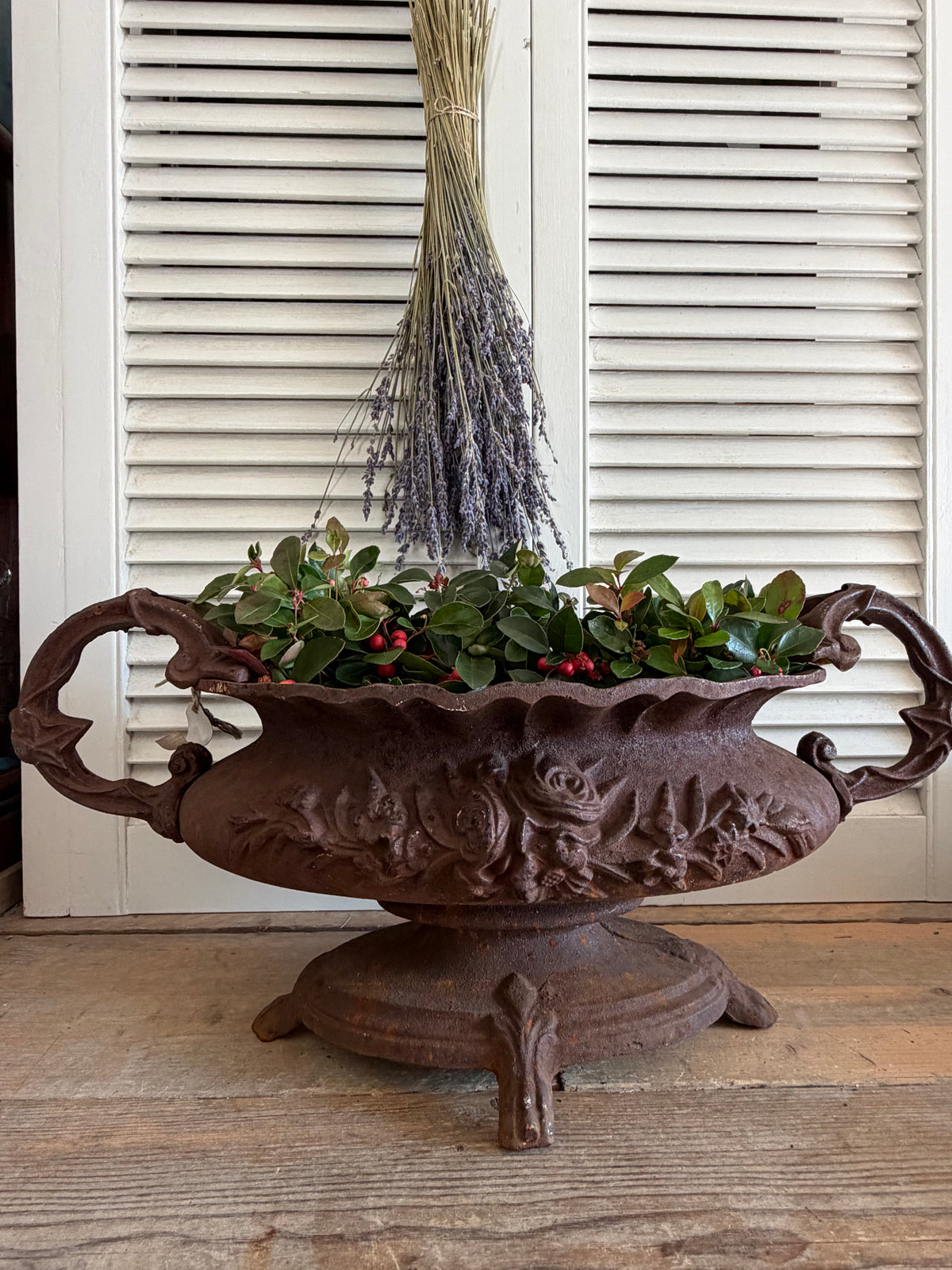 gietijzeren jardinière, grote franse jardinière, brocante plantenbak, Franse tuinornamenten, jardinière met oren, oorvaas, klassieke gietijzeren oorvaas, Sofia&