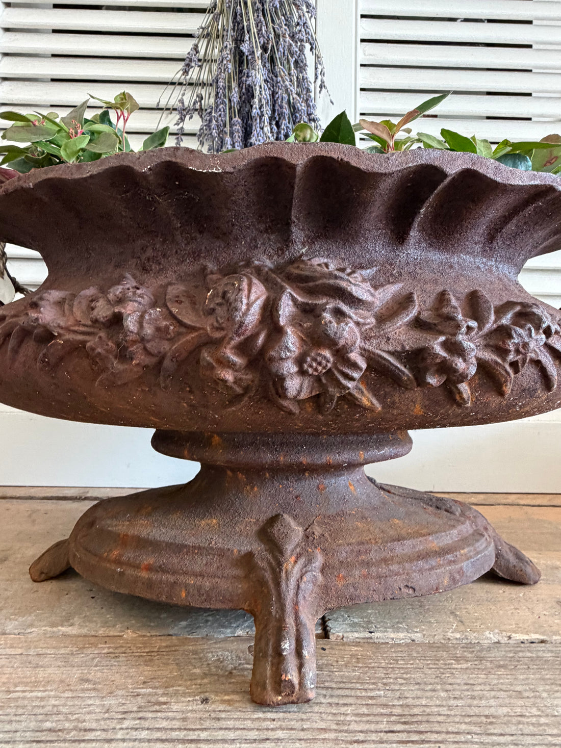 gietijzeren jardinière, grote franse jardinière, brocante plantenbak, Franse tuinornamenten, jardinière met oren, oorvaas, klassieke gietijzeren oorvaas, Sofia&
