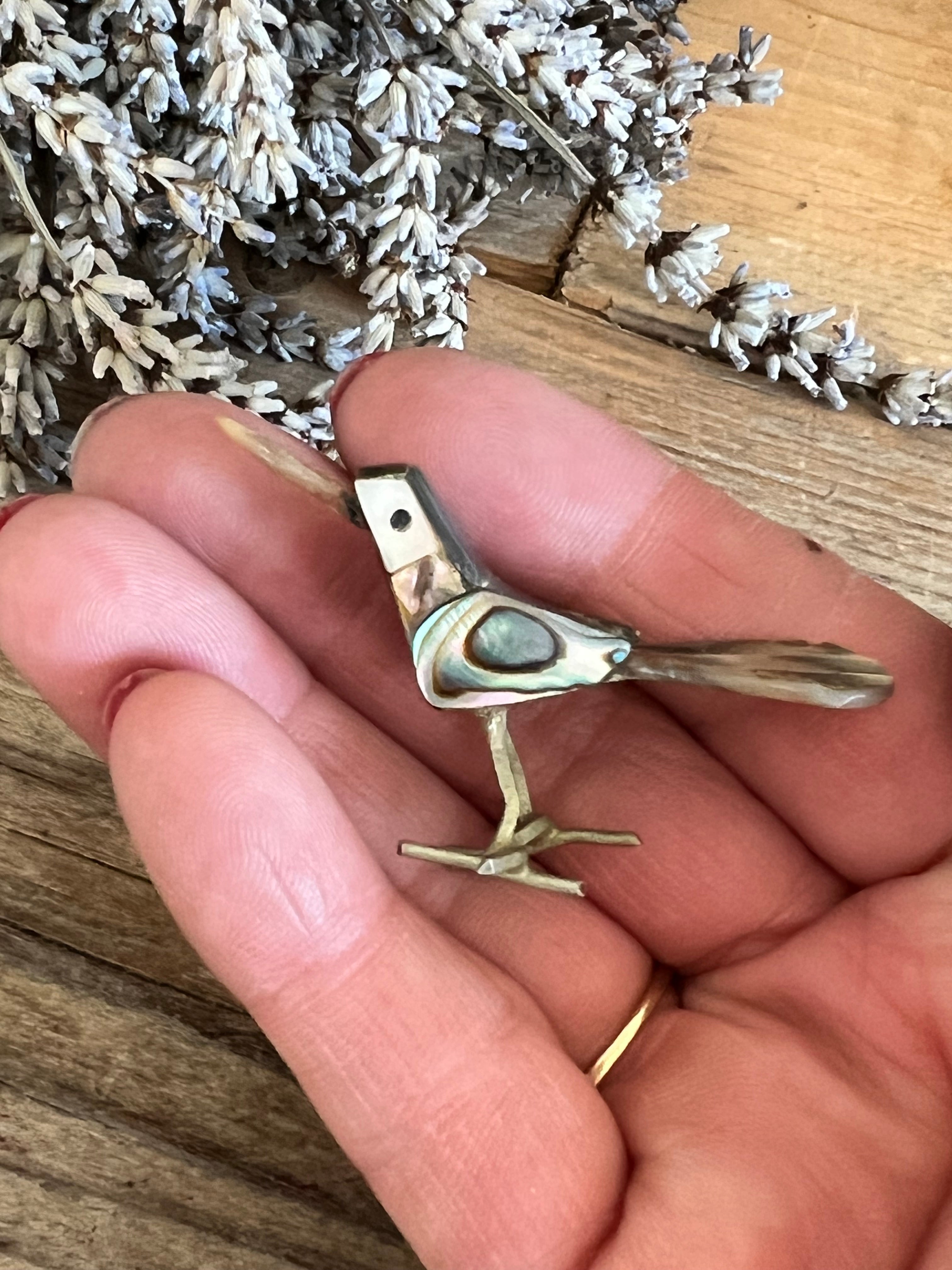 Mexicaans miniatuur vogeltje van abelone schelp