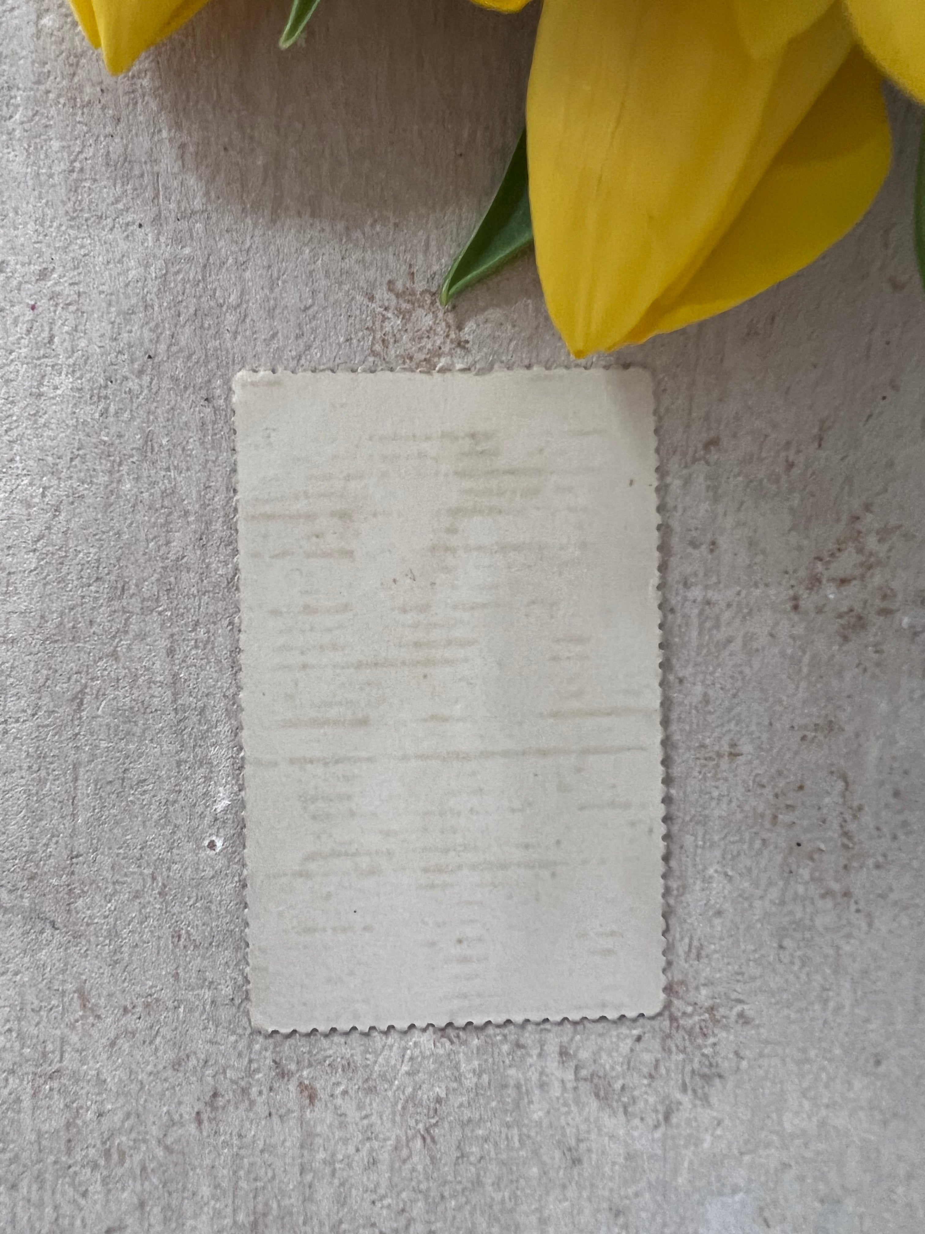 zondagsschool plaatje, religieuze spreuk, viooltjes plaatje, christelijke decoratie, geloof inspiratie, kinderbijbel illustratie, spiritueel geschenk, bijbelvers muurdecoratie, christelijke webshop, zondagsschool materiaal