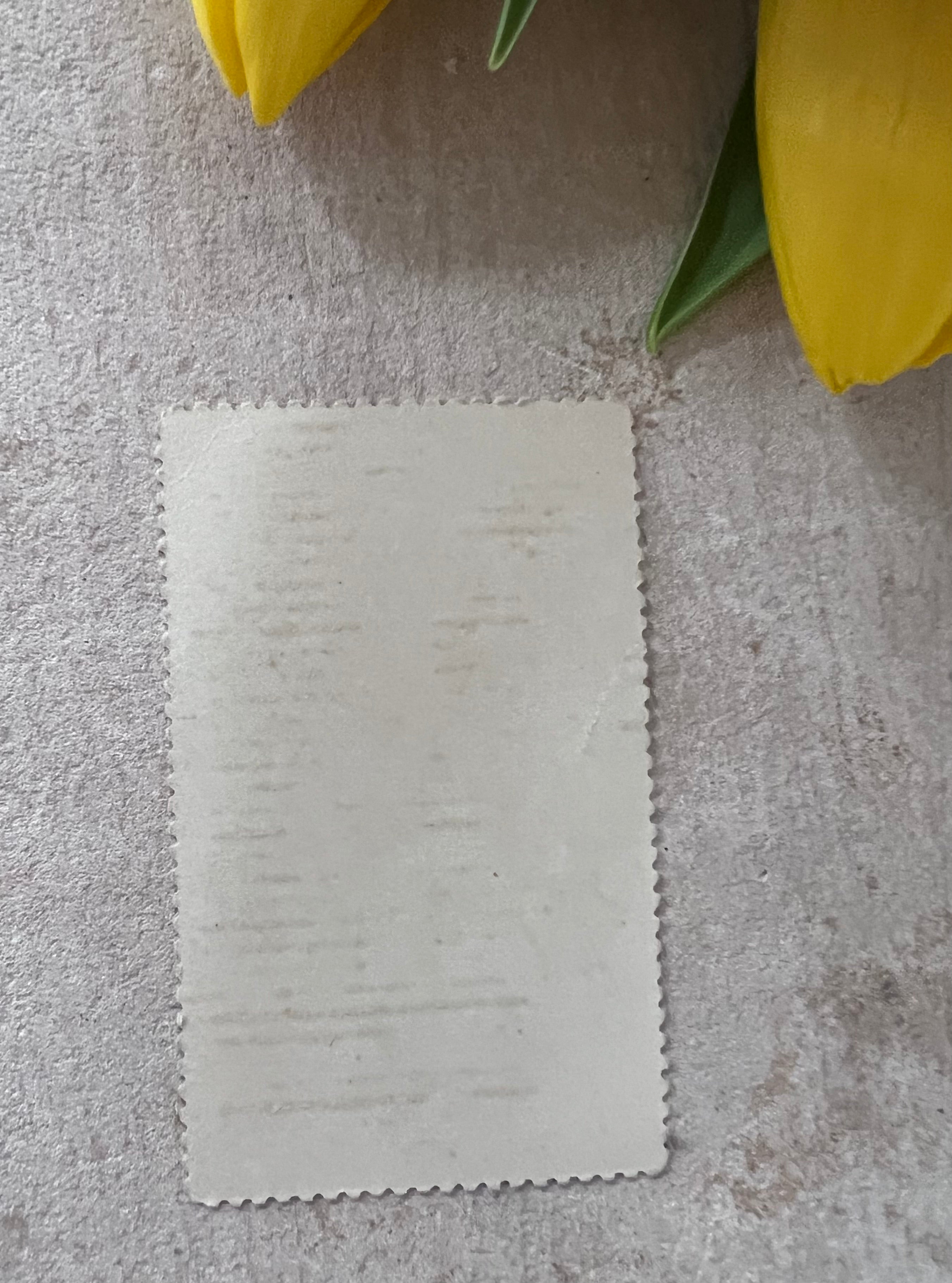 Antiek zondagsschool plaatje met zomerbloeiers