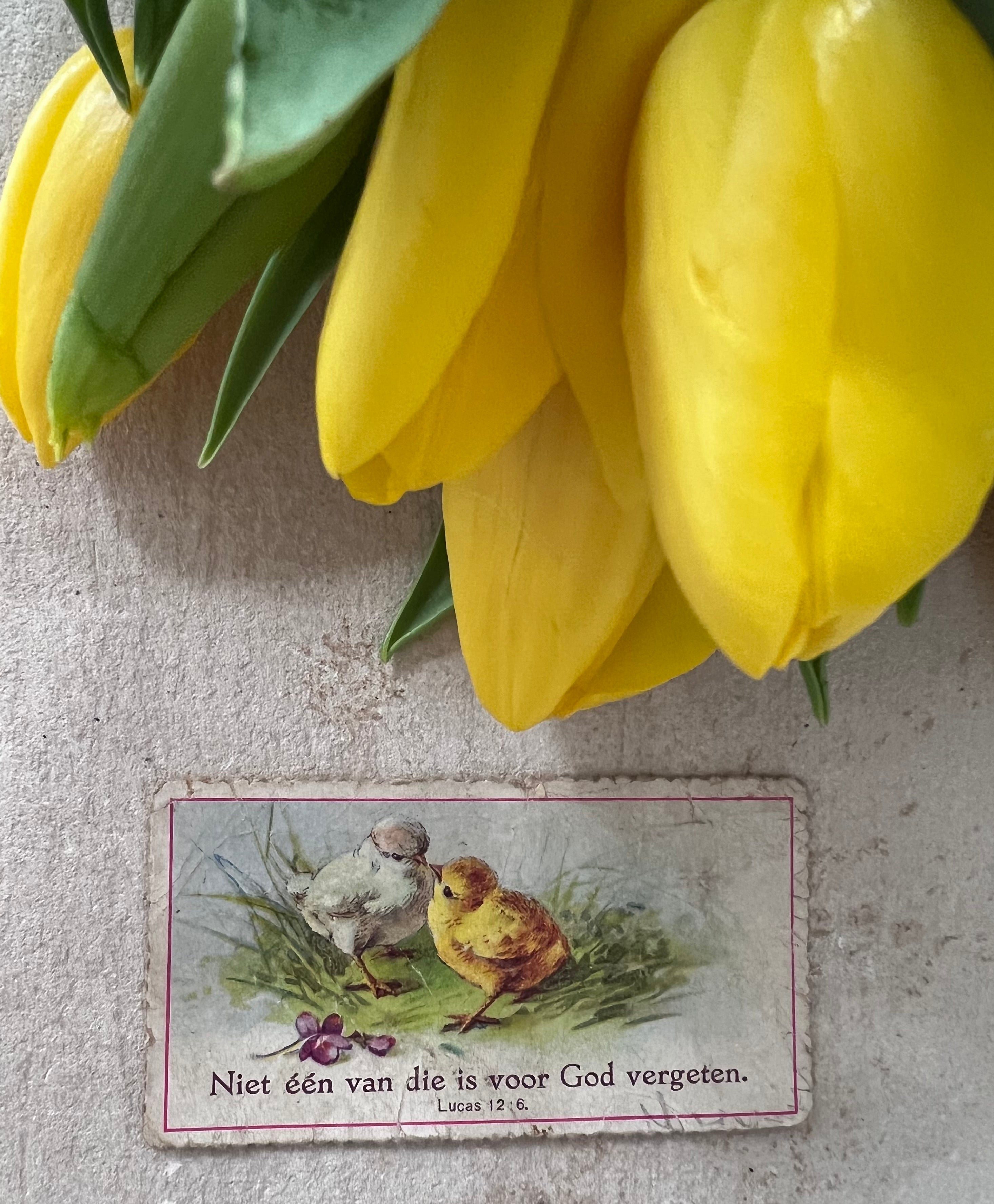 antieke zondagschoolplaatjes, vintage zondagschoolplaatjes, zondagschoolplaatjes kuikentje, paasdecoratie vintage, oude prenten paasdecoratie, antieke paasversiering, nostalgische paasplaatjes, vintage paasdecoratie, antieke illustraties kuikens