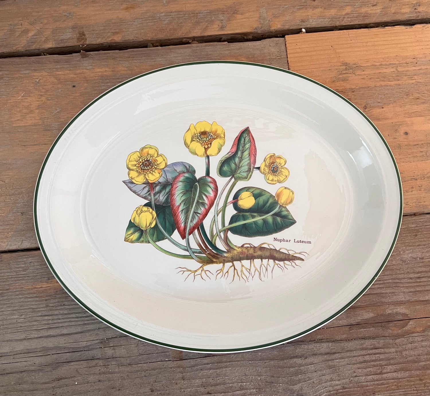 Serveerschaal Florabunda Wedgwood