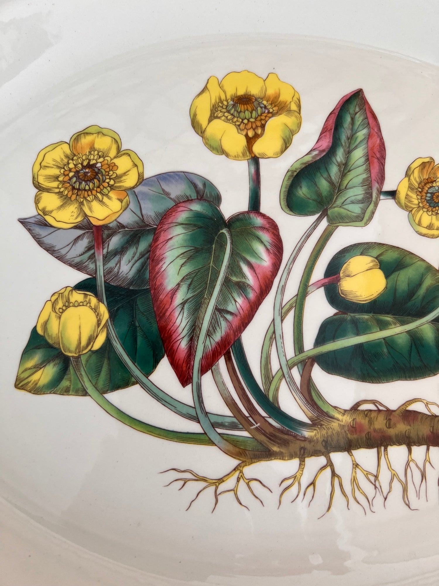 Serveerschaal Florabunda Wedgwood