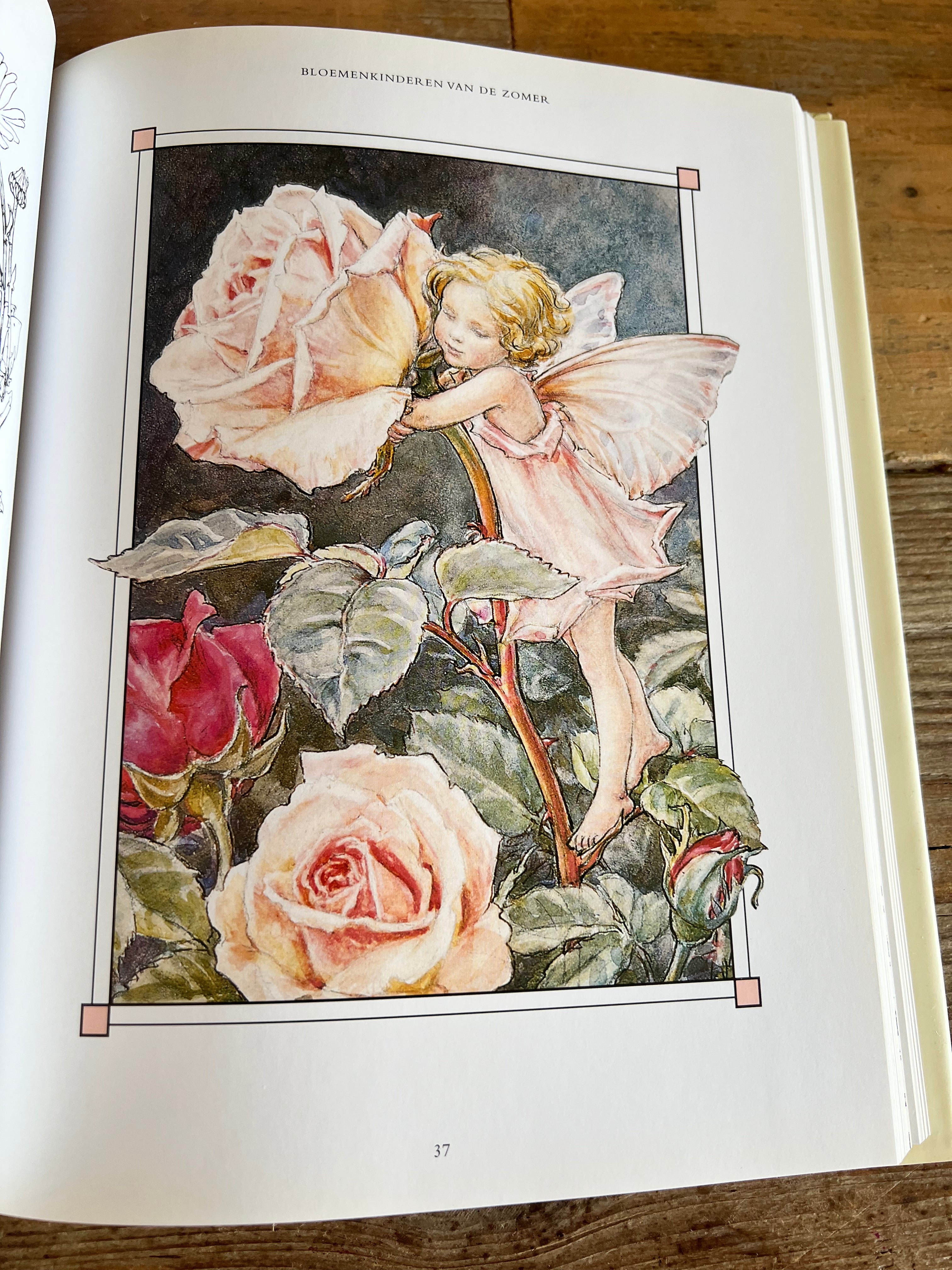 Het complete boek van de Bloemenkinderen Cicely Mary Barker