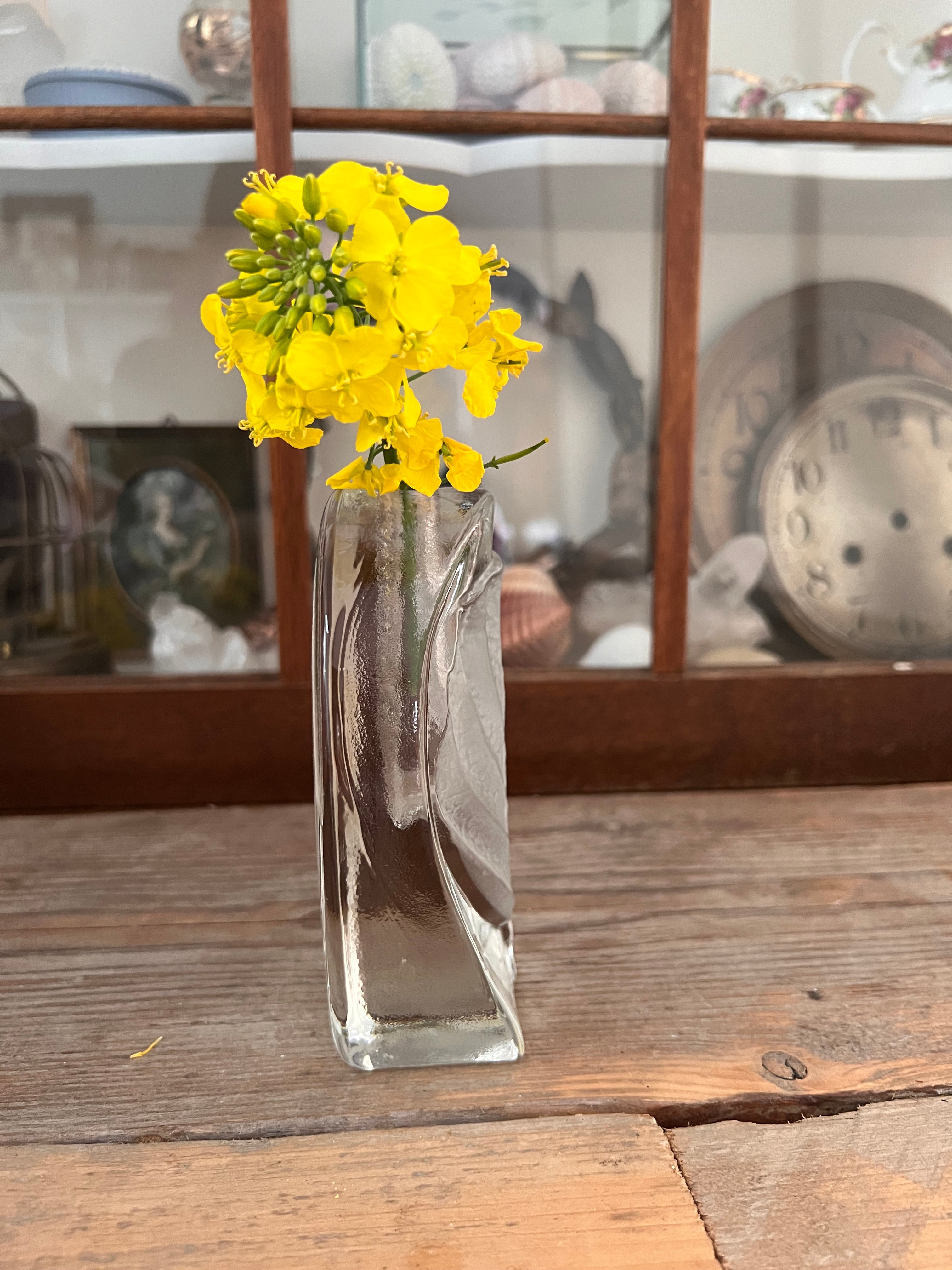 Solifleur Walther glas blad