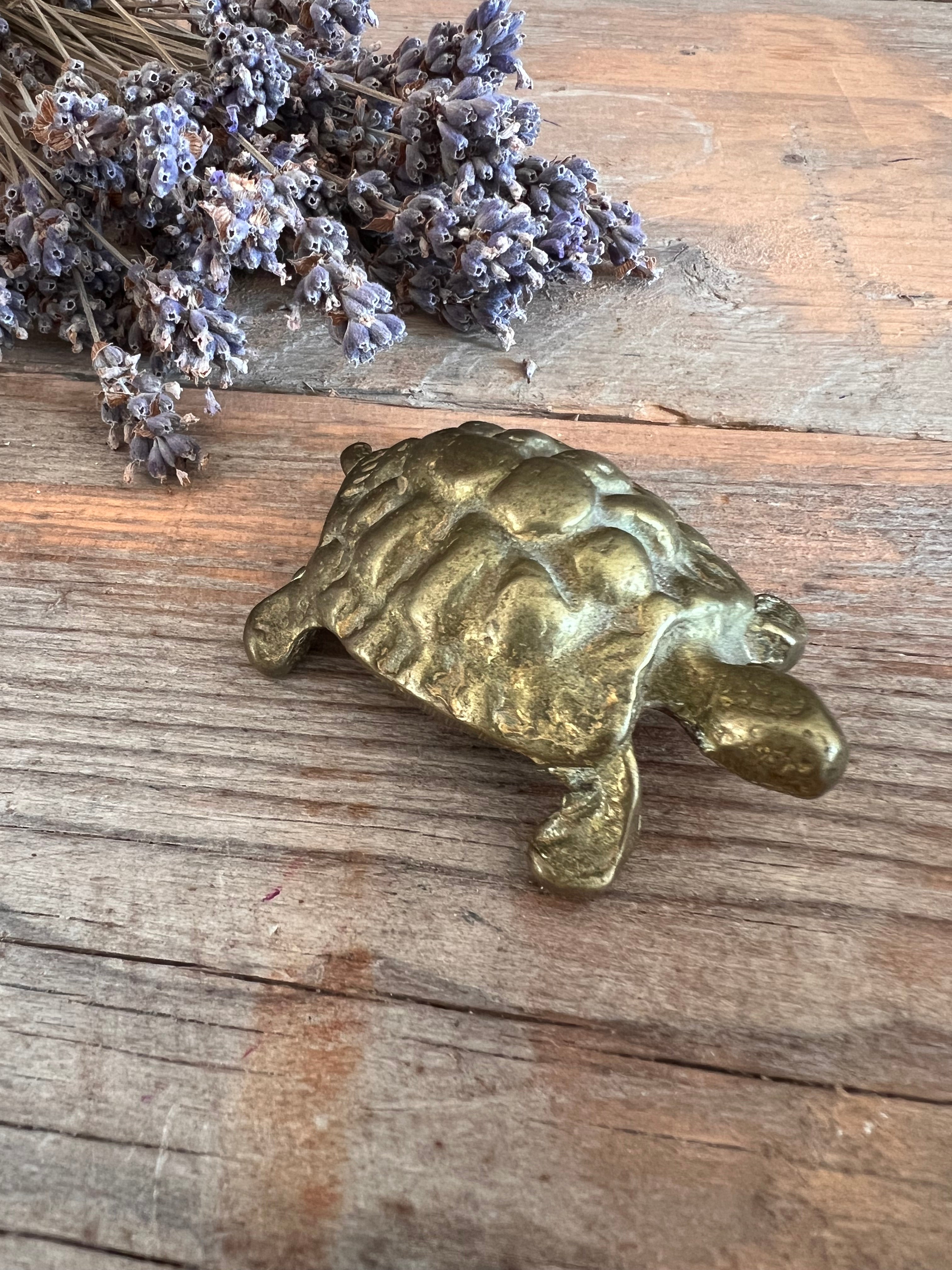 Messing schildpadje