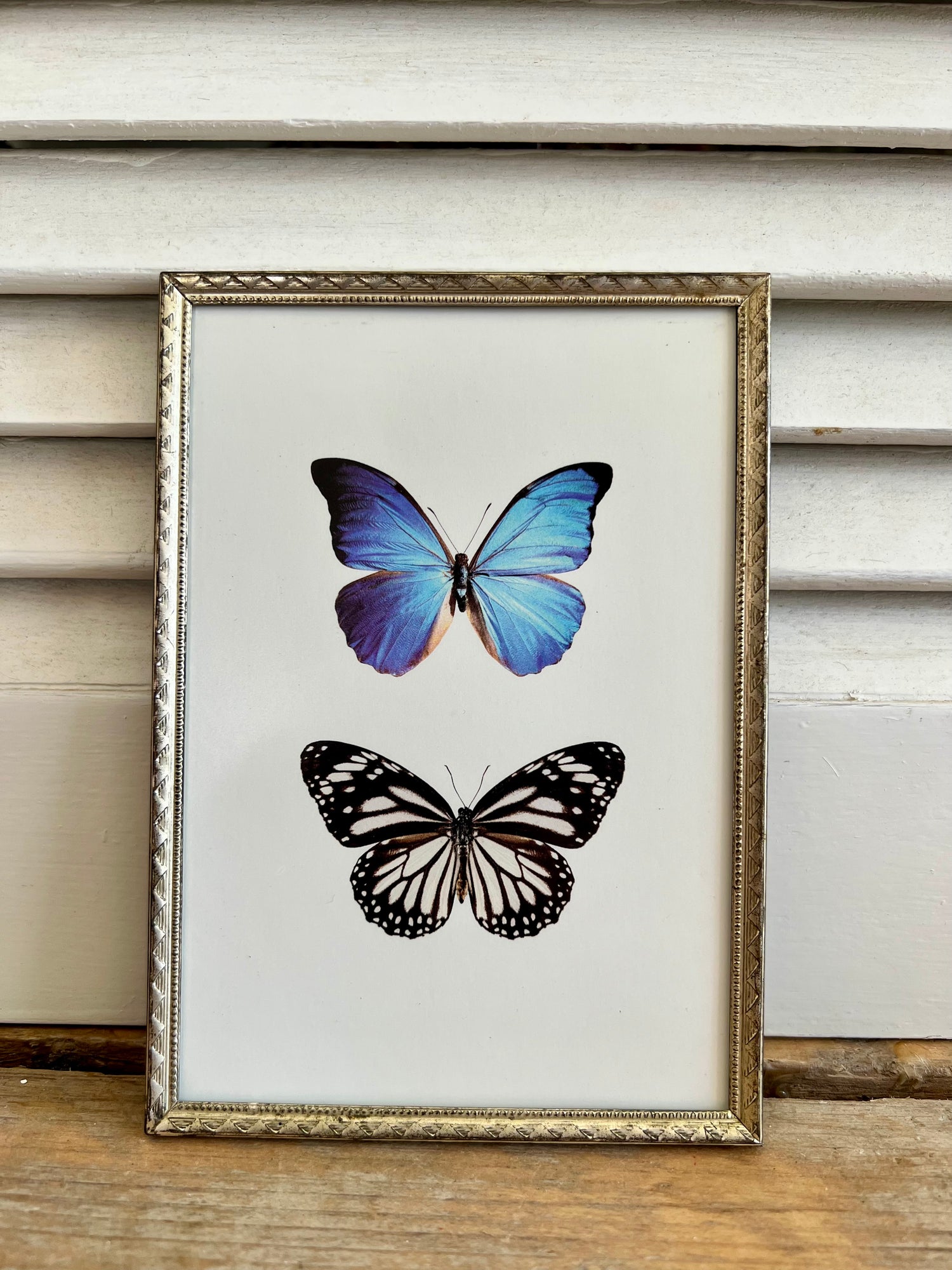 Vintage fotolijst Jyden met vlinders