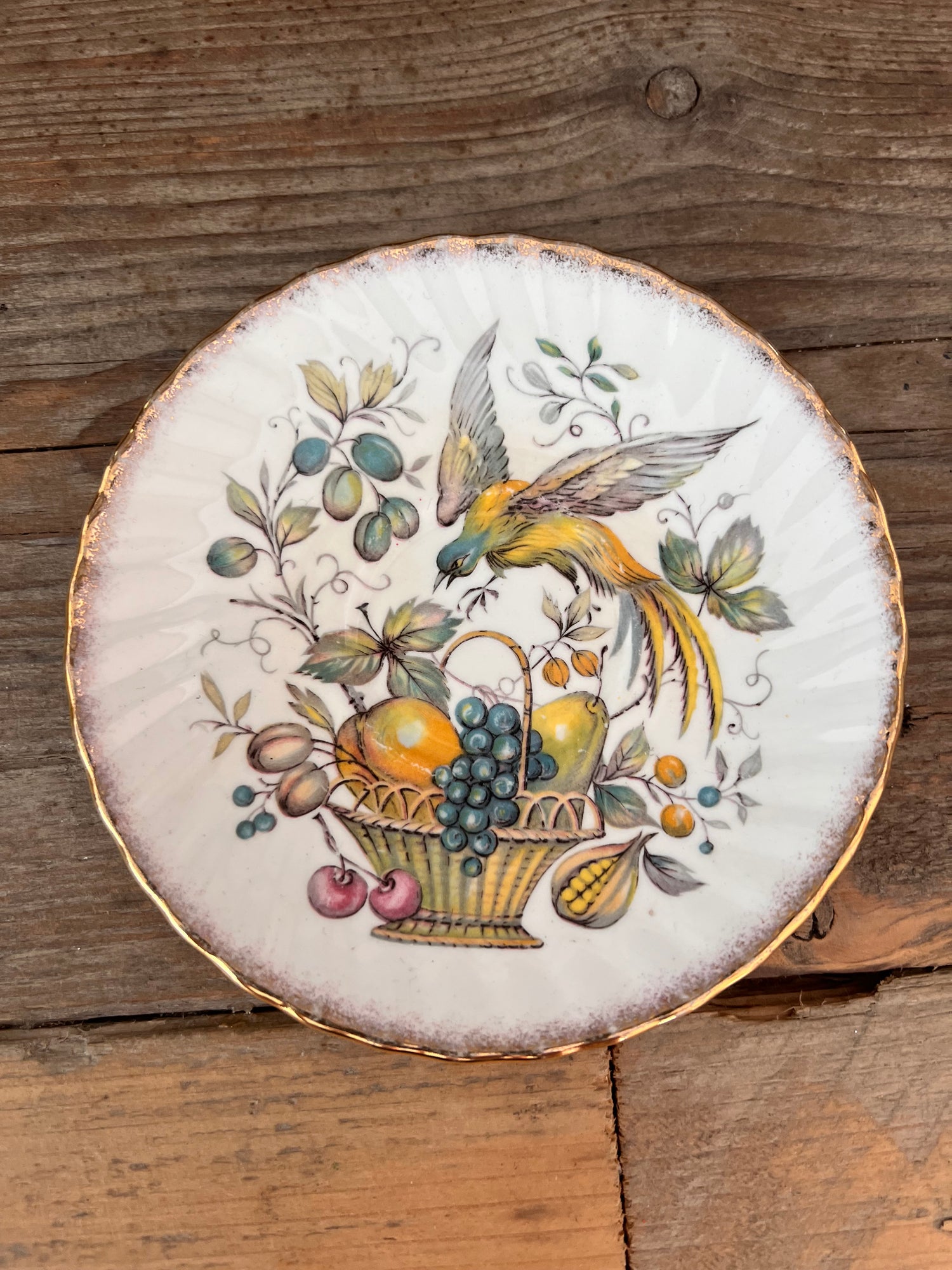 Cup and saucer Bird of Paradise