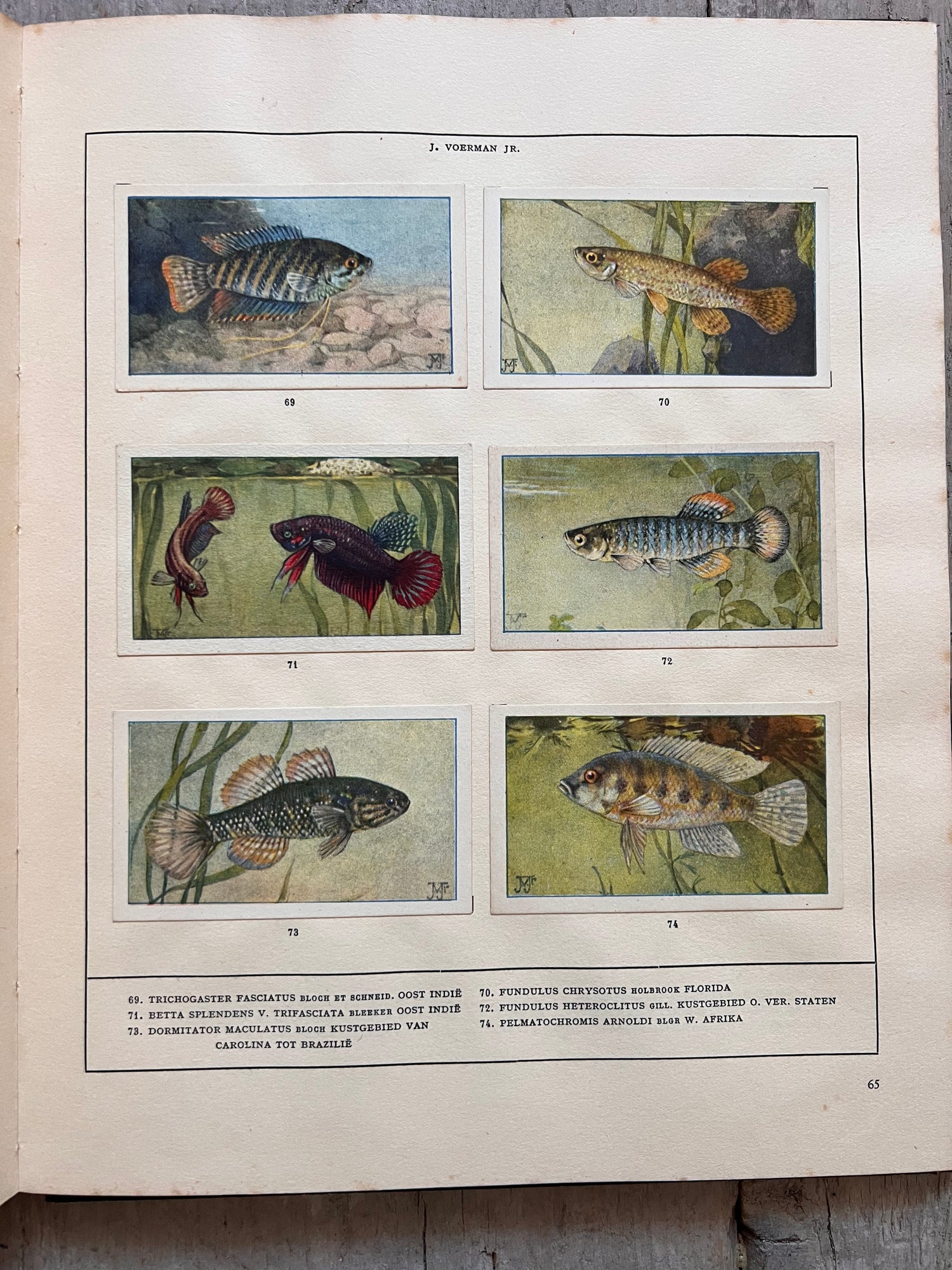 Verkade plaatjesboek Mijn Aquarium