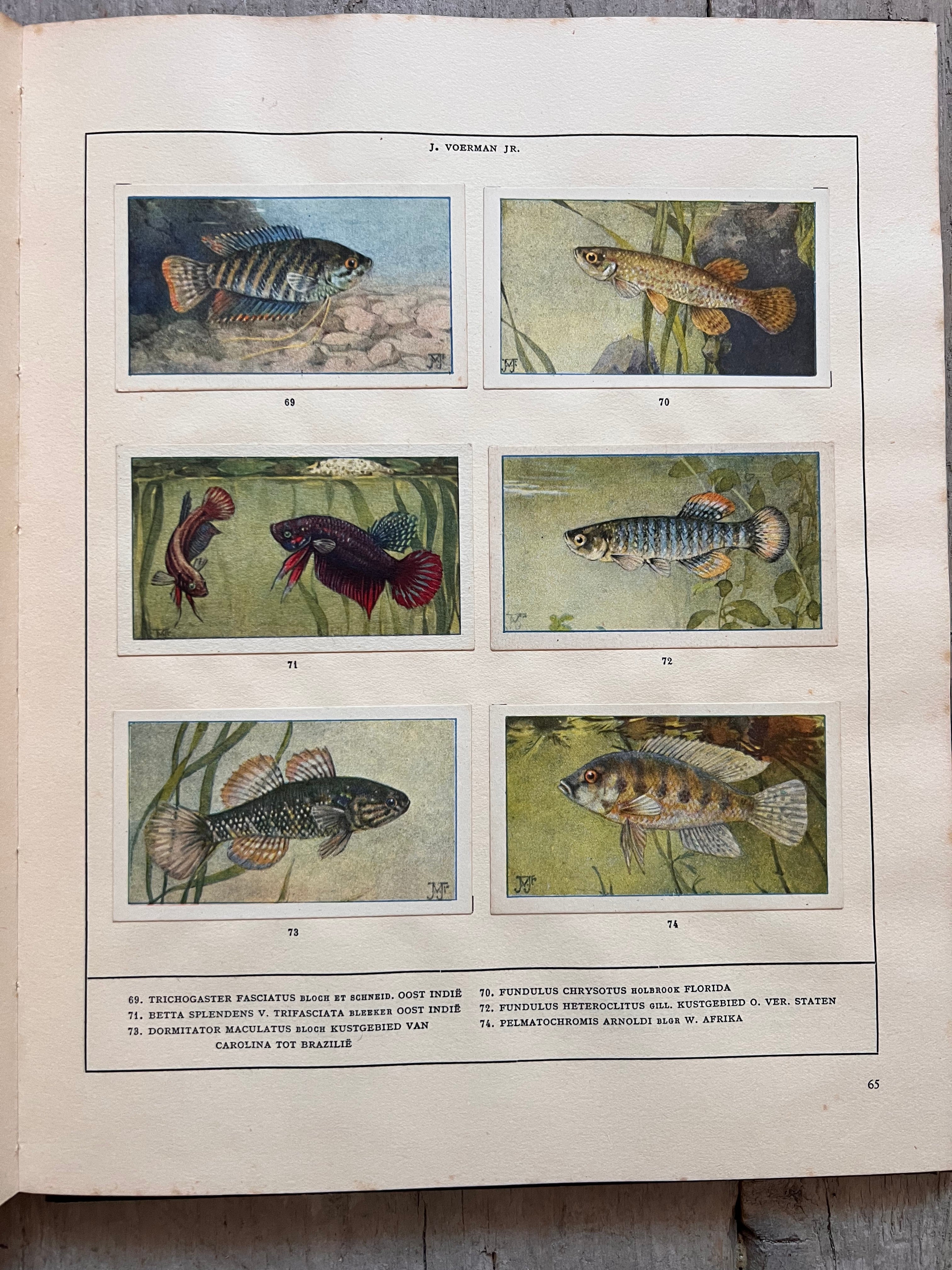Verkade plaatjesboek Mijn Aquarium