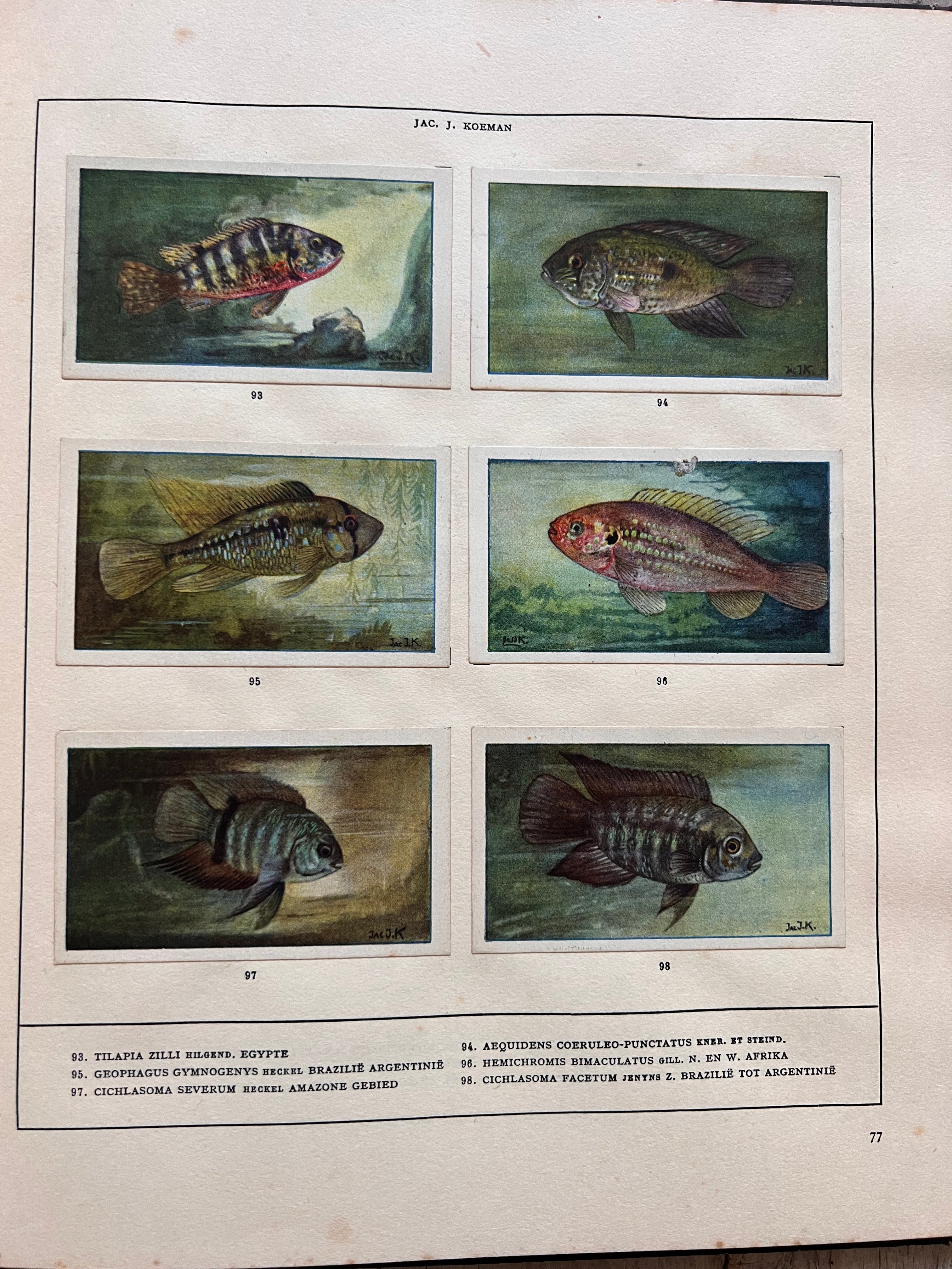 Verkade plaatjesboek Mijn Aquarium