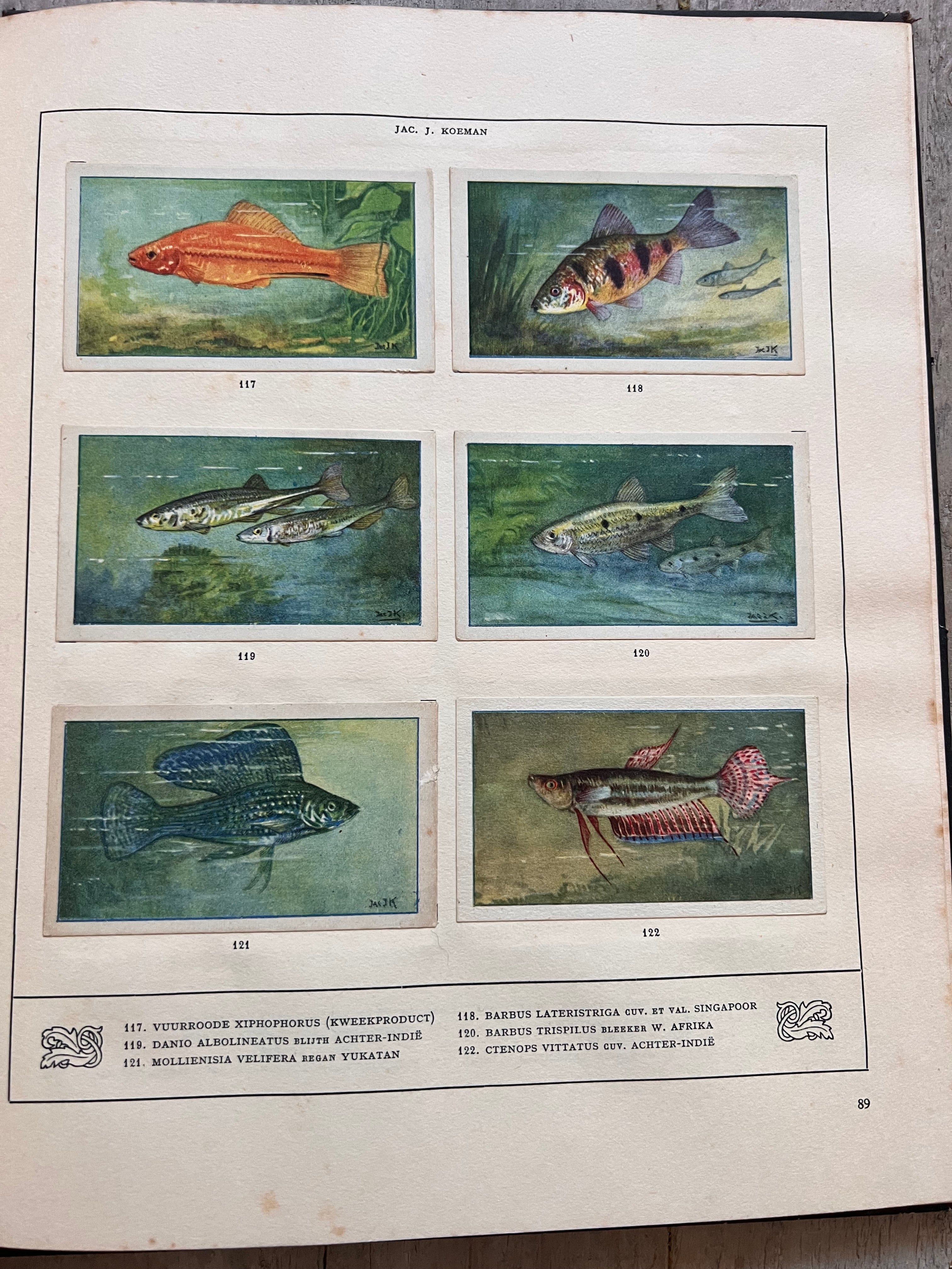Verkade plaatjesboek "Mijn Aquarium"