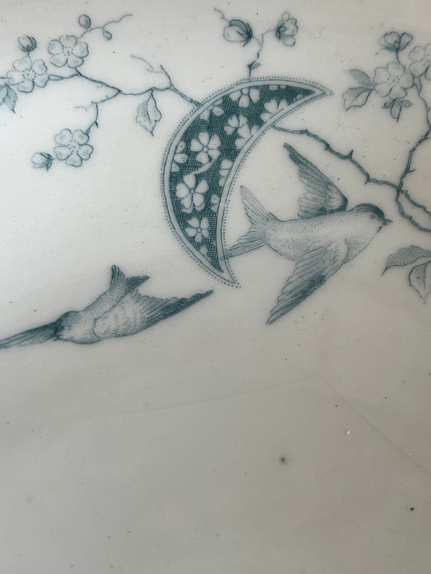 Franse schaal met zwaluwen