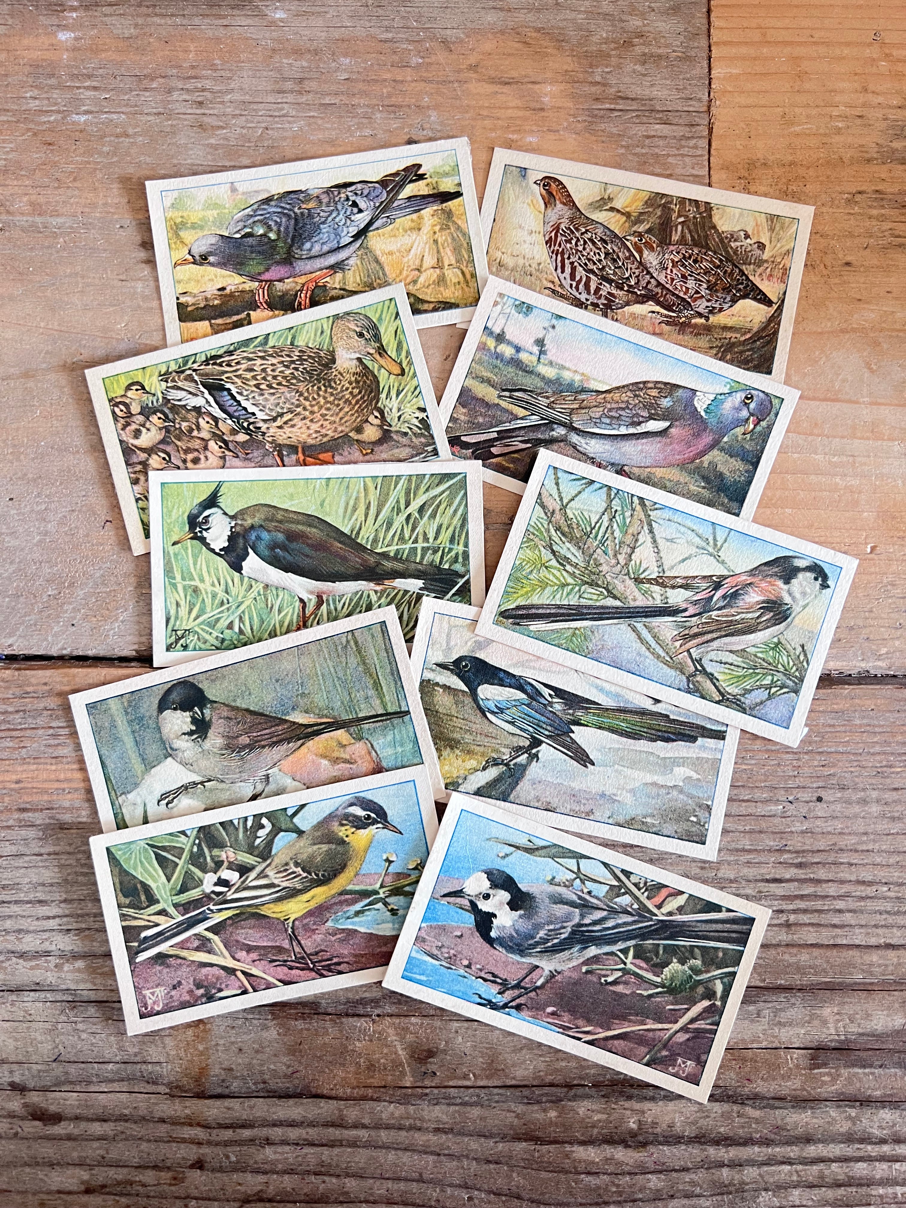 verkadeplaatjes set, verkade plaatjes kopen, verkade plaatjes hans de torenkraai, originele verkadeplaatjes, verkadeplaatjes verzamelen, vintage verkade plaatjes, verkadeplaatjes knutselen, nostalgische verkade plaatjes
