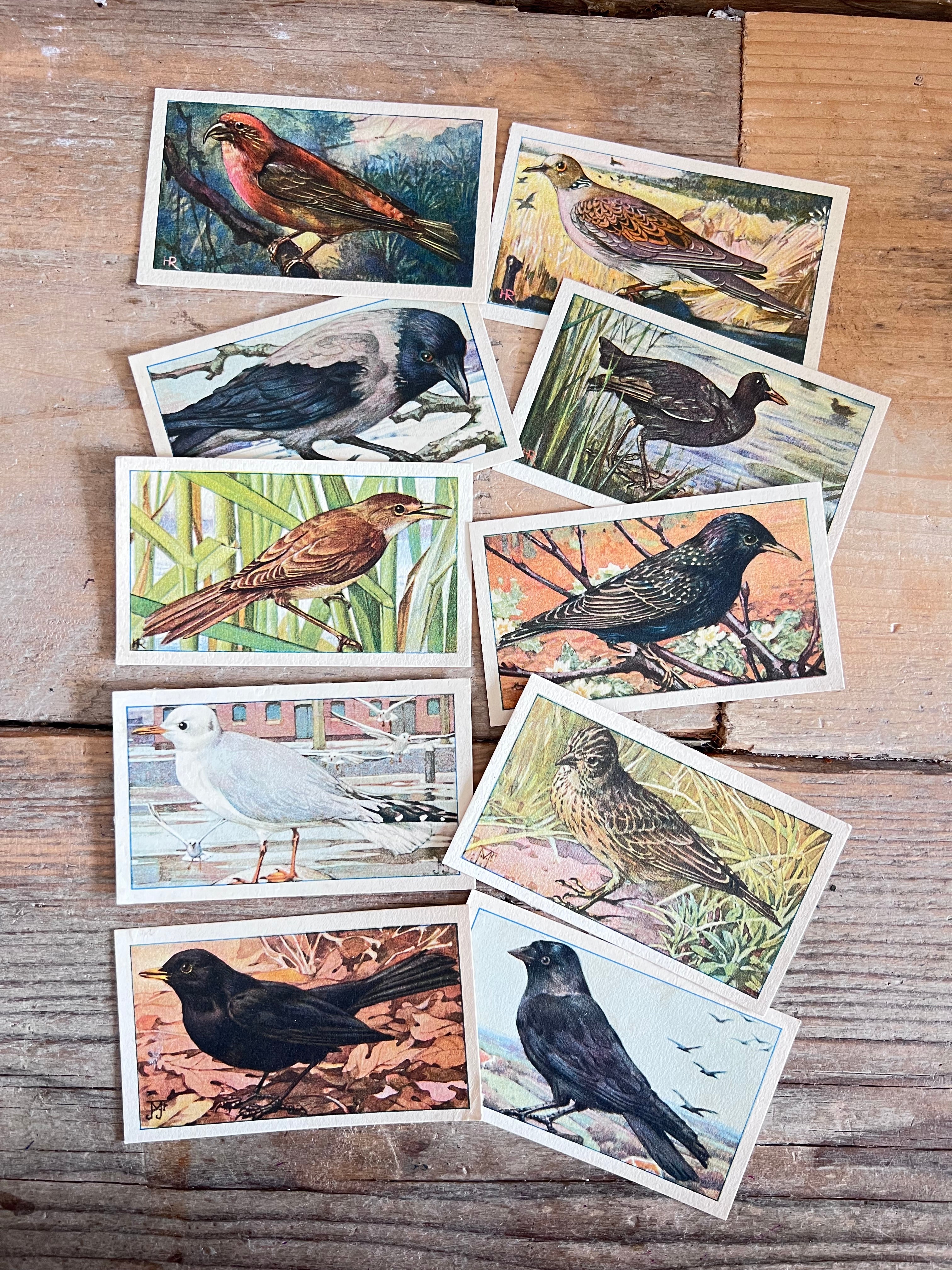 verkadeplaatjes set, verkade plaatjes kopen, verkade plaatjes hans de torenkraai, originele verkadeplaatjes, verkadeplaatjes verzamelen, vintage verkade plaatjes, verkadeplaatjes knutselen, nostalgische verkade plaatjes