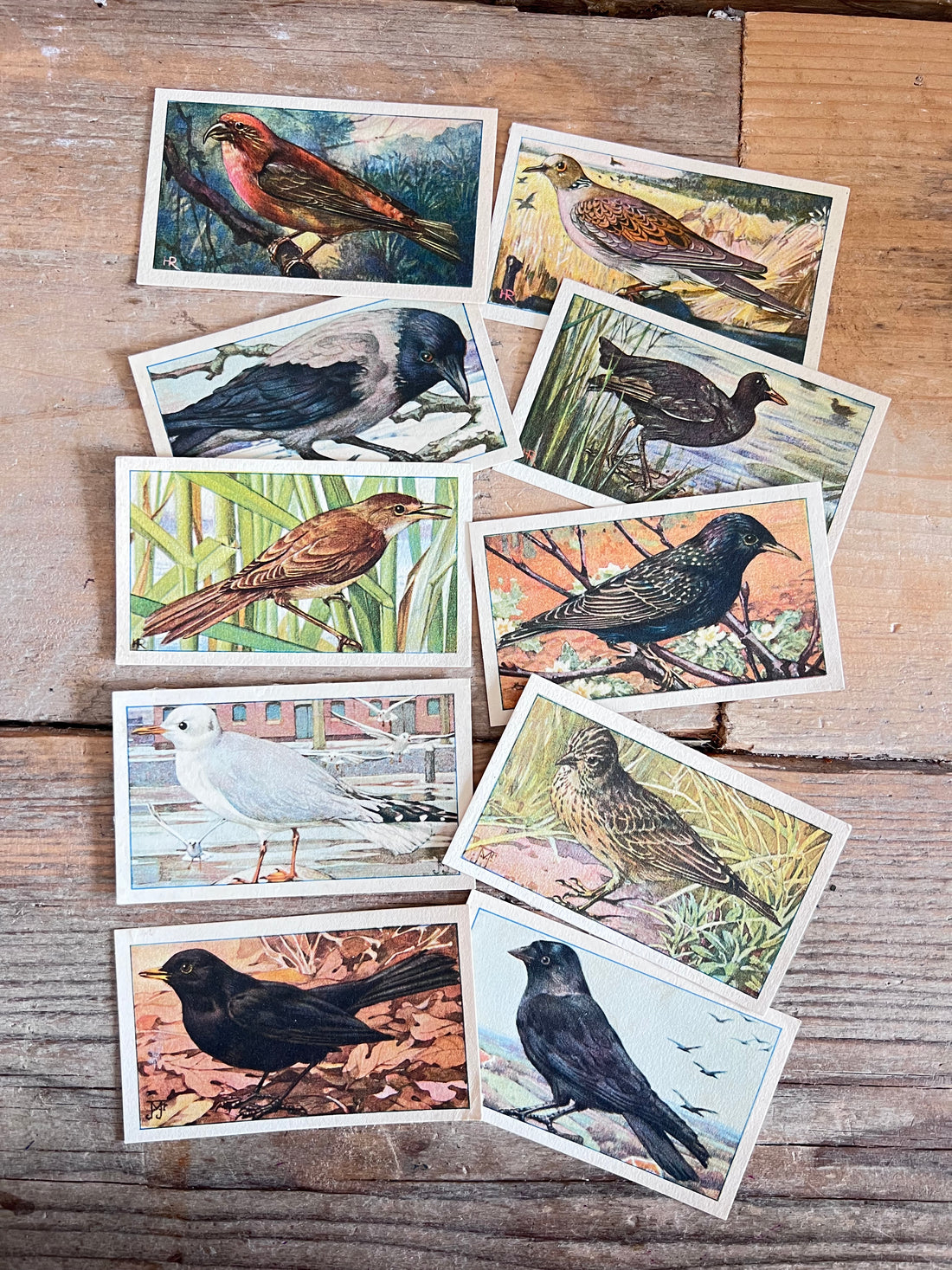 verkadeplaatjes set, verkade plaatjes kopen, verkade plaatjes hans de torenkraai, originele verkadeplaatjes, verkadeplaatjes verzamelen, vintage verkade plaatjes, verkadeplaatjes knutselen, nostalgische verkade plaatjes