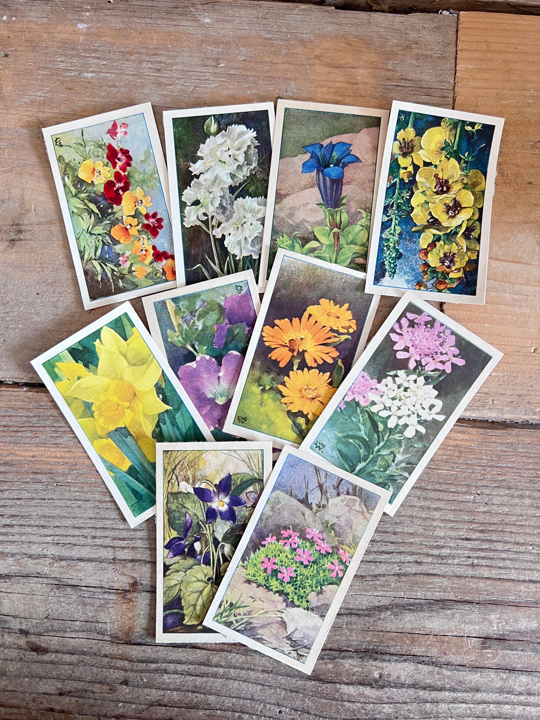 verkadeplaatjes set, verkade plaatjes kopen, verkade plaatjes hans de torenkraai, originele verkadeplaatjes, verkadeplaatjes verzamelen, vintage verkade plaatjes, verkadeplaatjes knutselen, nostalgische verkade plaatjes