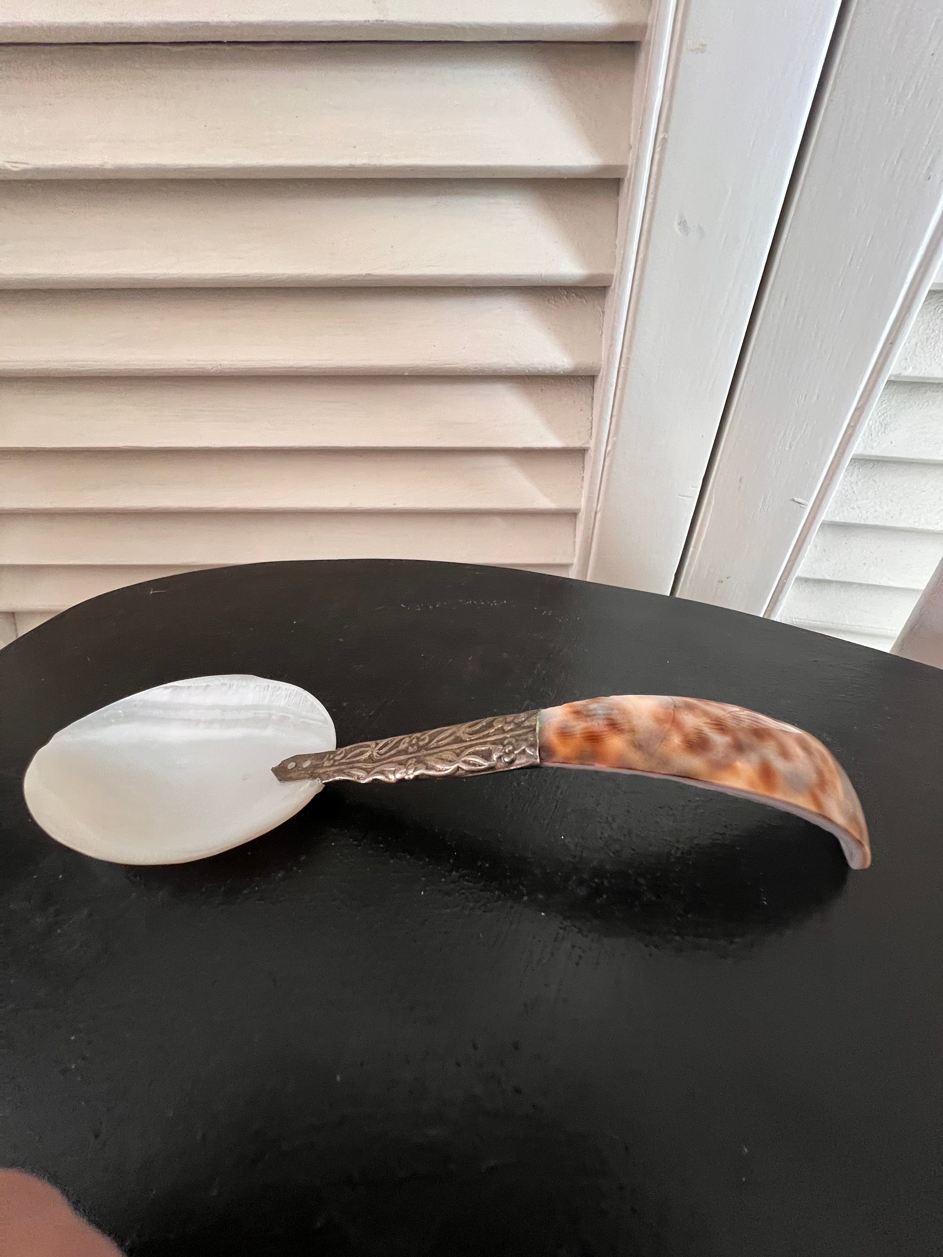 Schelp lepel met zilverkleurig accent
