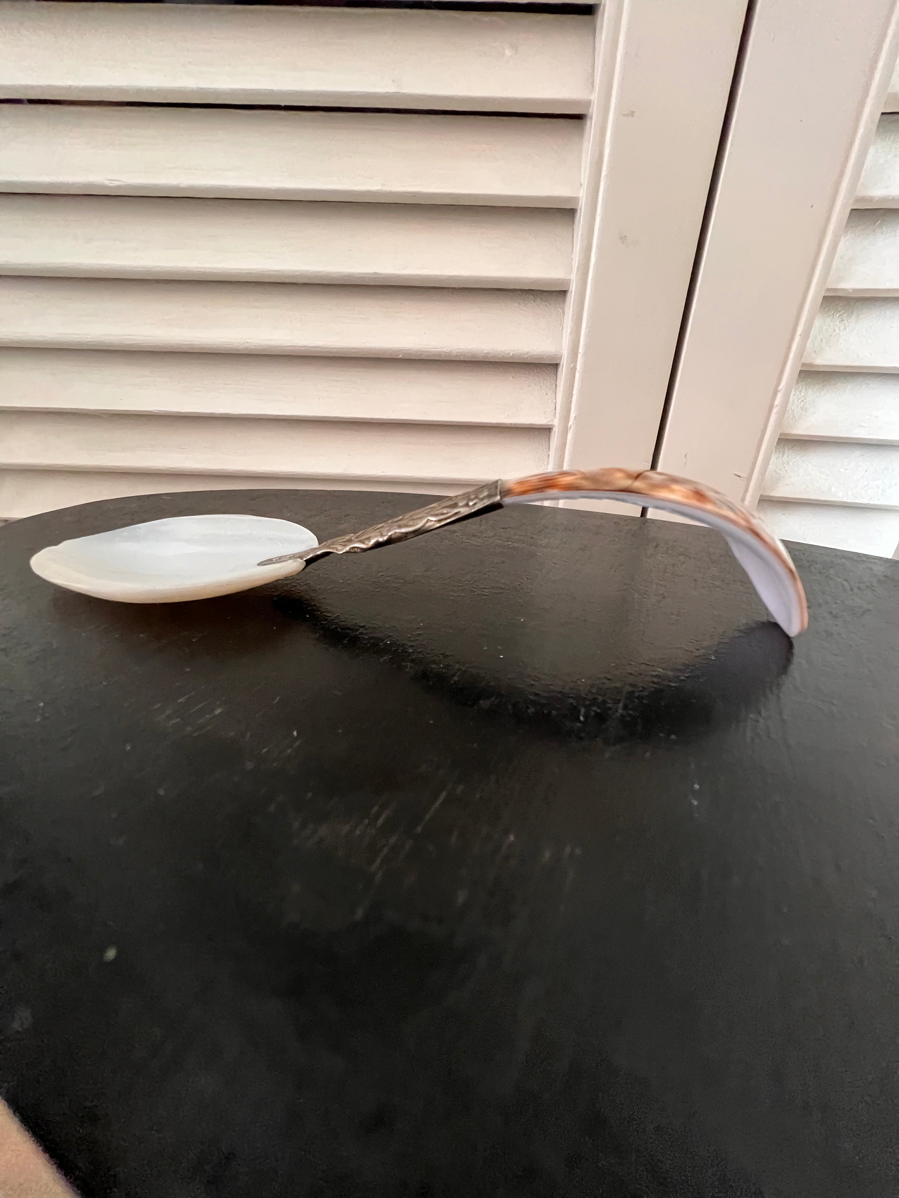 Schelp lepel met zilverkleurig accent