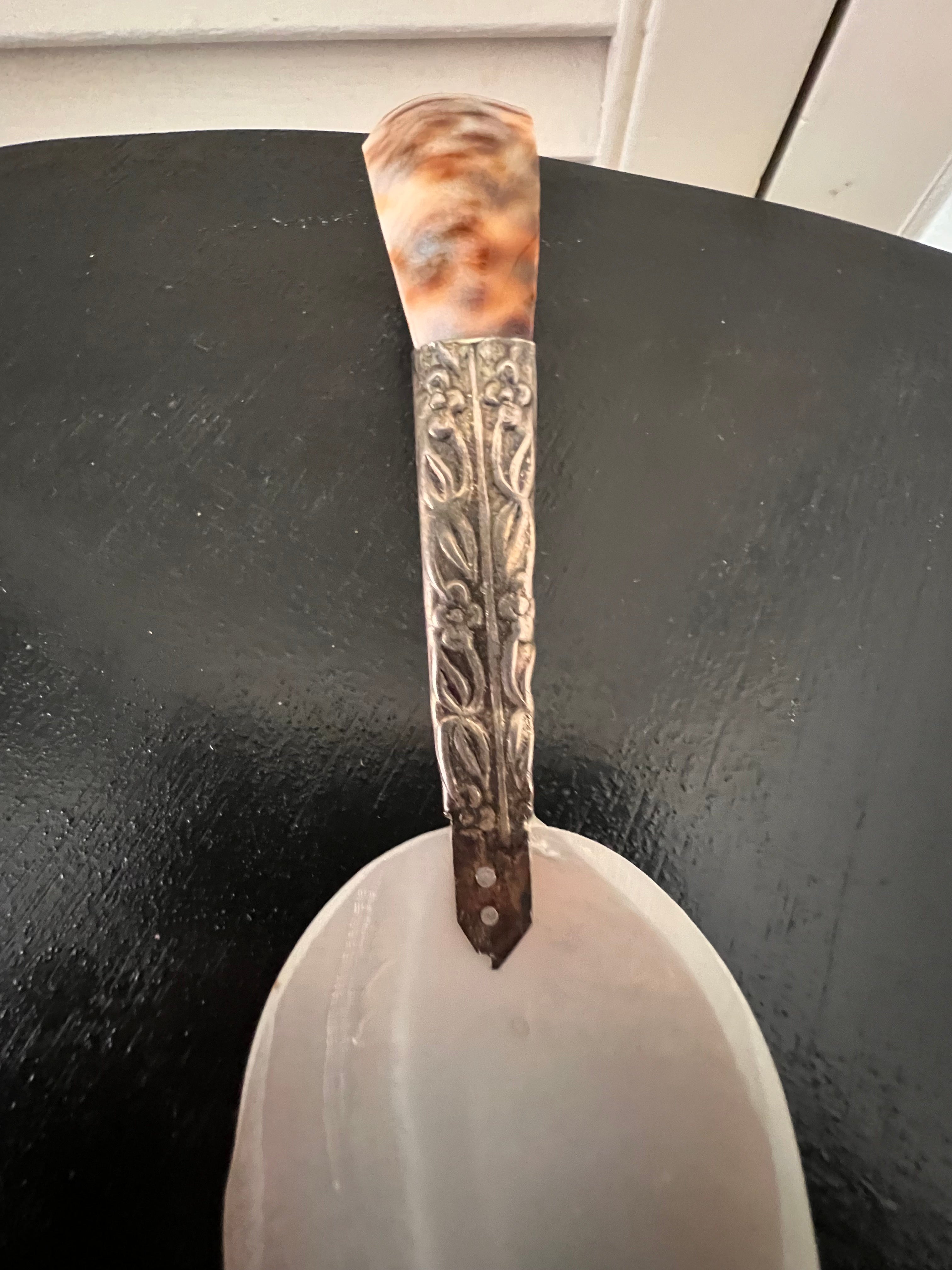 Schelp lepel met zilverkleurig accent