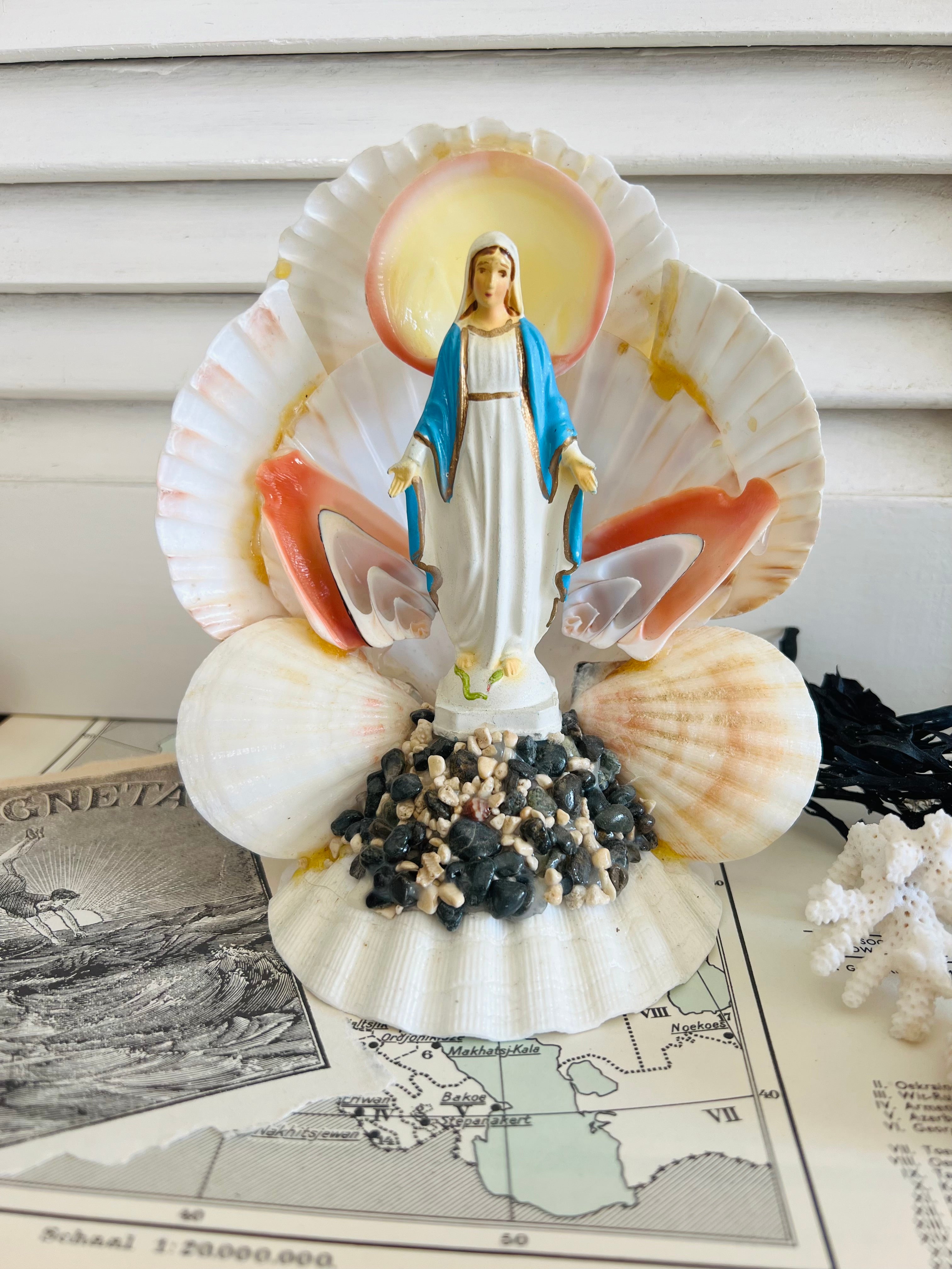 Stella Maris schelpen