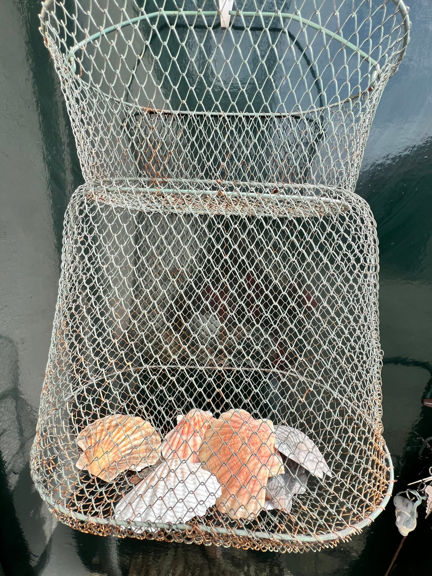 Brocante leefnet uit Frankrijk