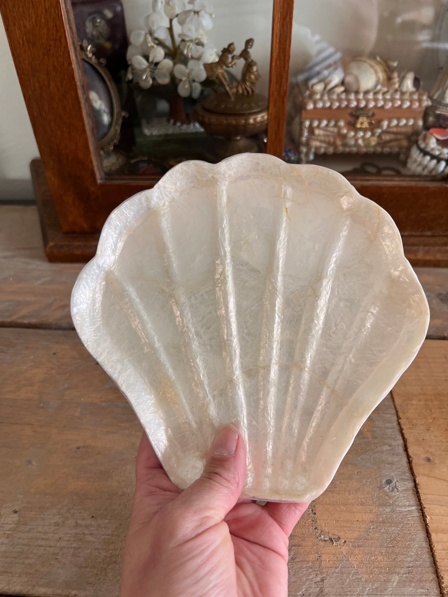 Capiz shell tray