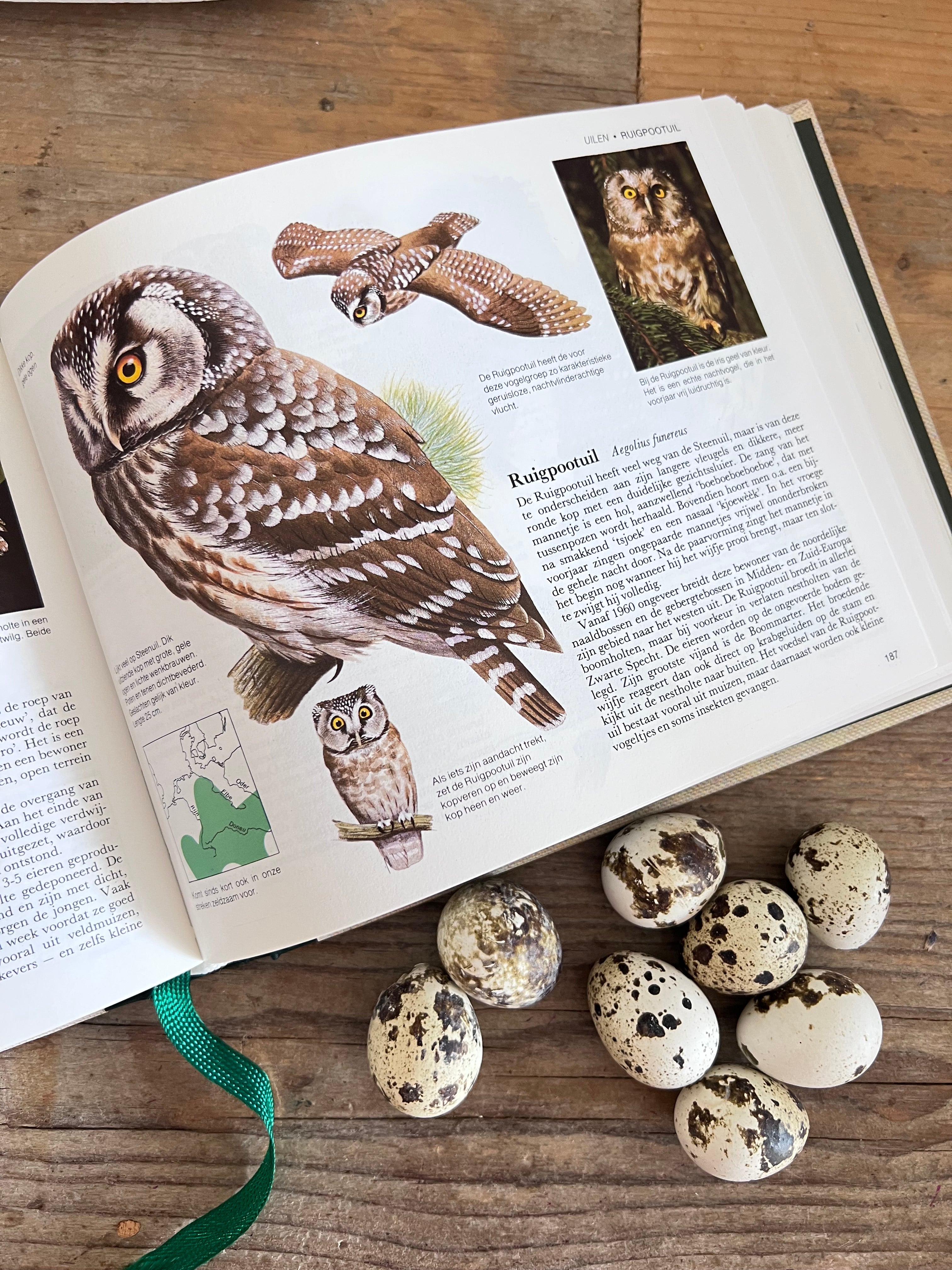 - vogelboek  
- vogels herkennen boek  
- vogelgids Nederland  
- vogelen Nederland  
- boek over vogels  
- vogels determineren  
- vogelliefhebbers cadeau  
- ornithologie boek  
- vogels in Nederland gids  
- Readers Digest vogelboek
