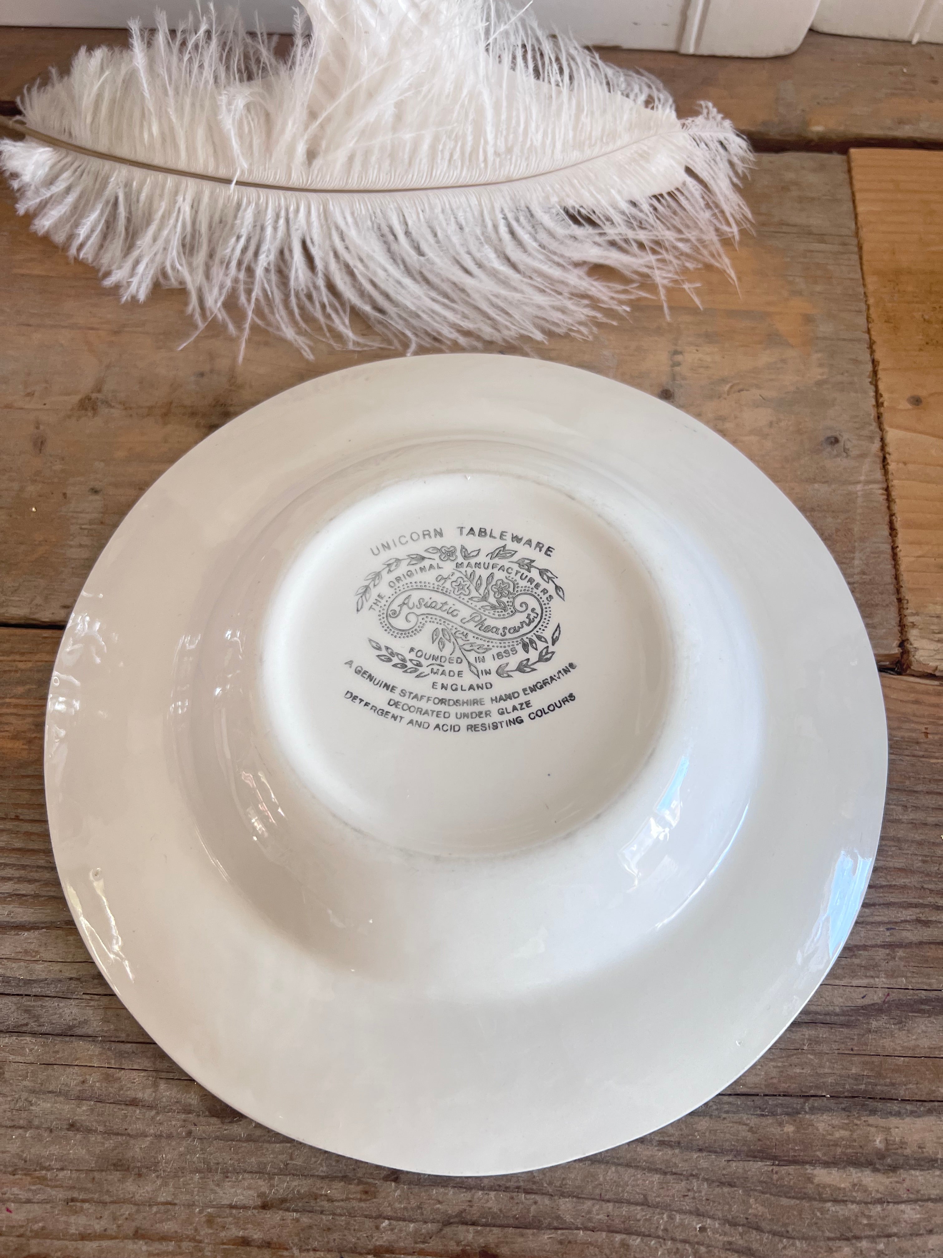 Asiatic Pheasants soepbord kleur blauw