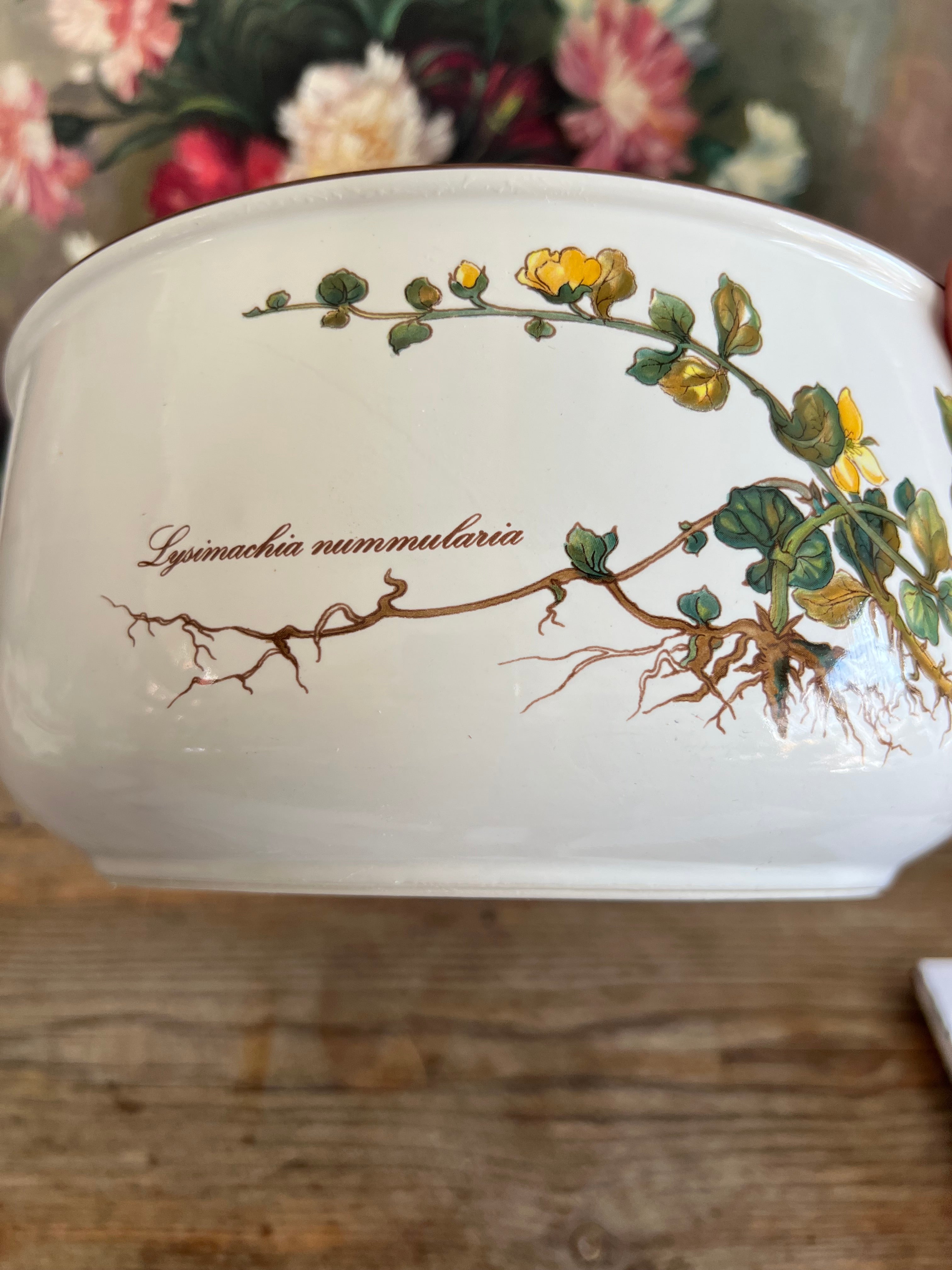 Villeroy & Boch Botanica saladeschaal