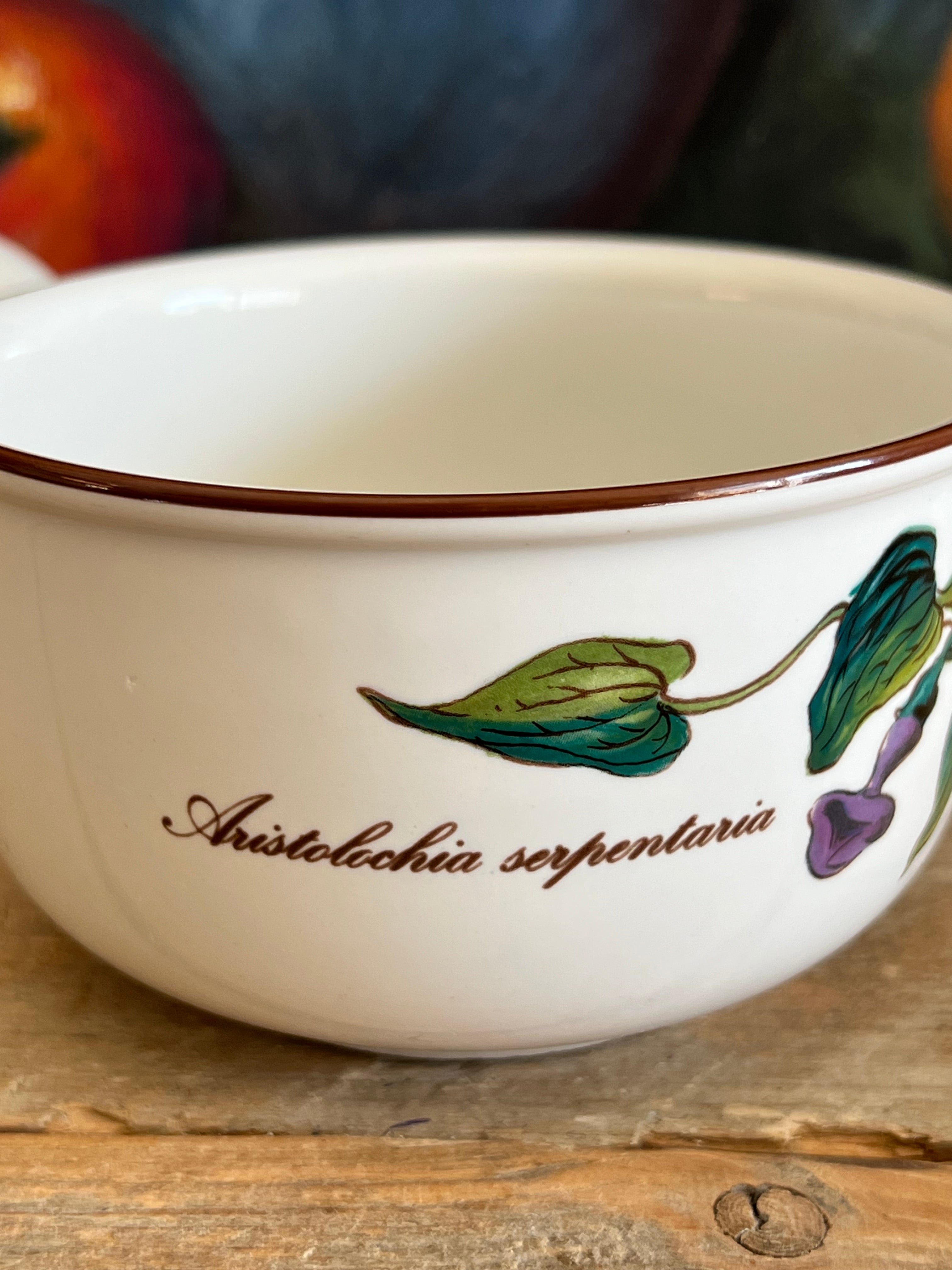 Villeroy & Boch Botanica sauskom