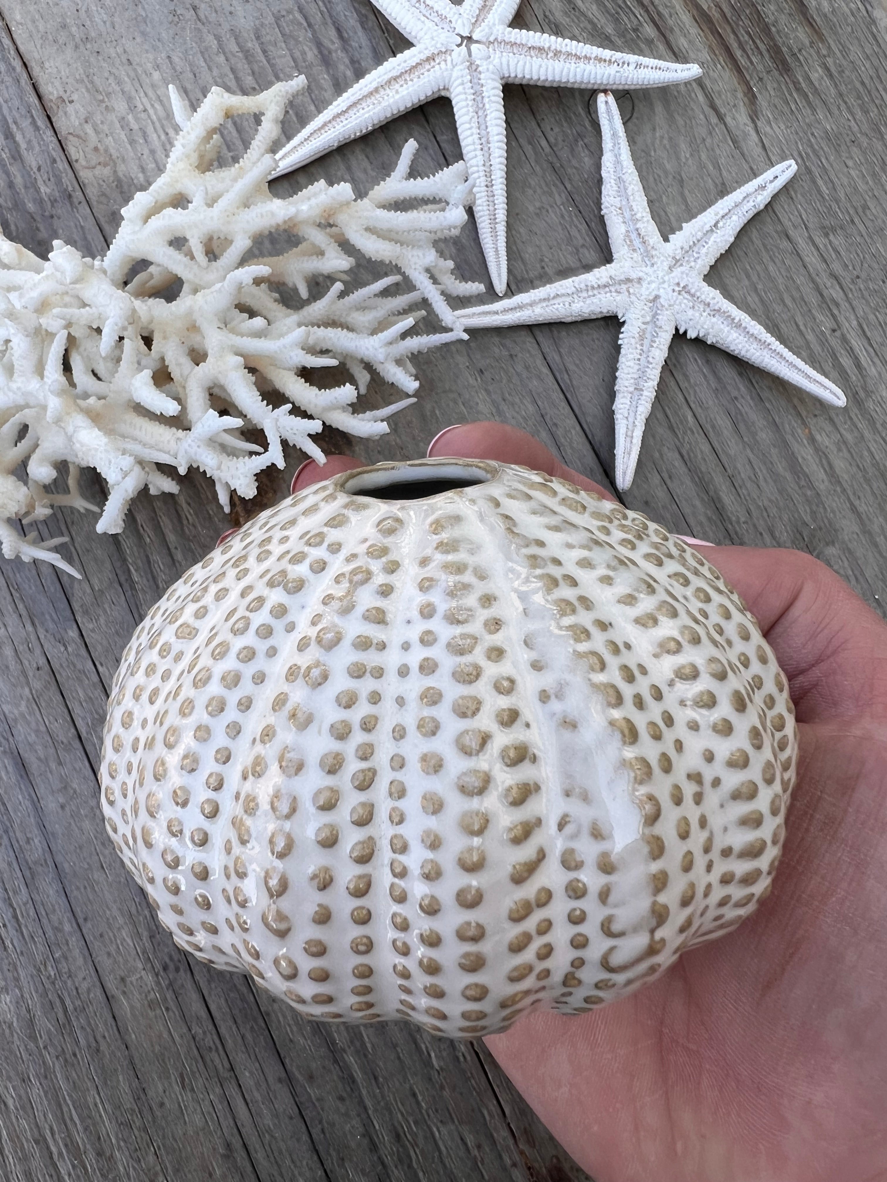 - vaasje zee-egel  
- zee-egel vaasje beige  
- decoratief vaasje maritiem  
- beige vaasje interieur  
- klein vaasje bloemenschaal  
- uniek vaasje natuur inspiratie  
- zee-egel decoratie  
- vaas maritiem design  