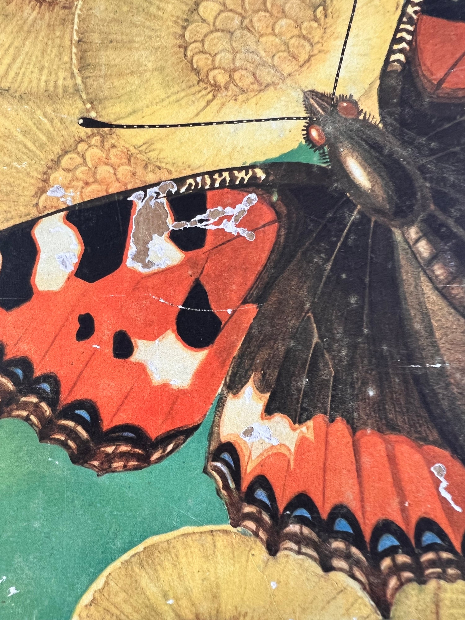 Verkade plaatjesboek