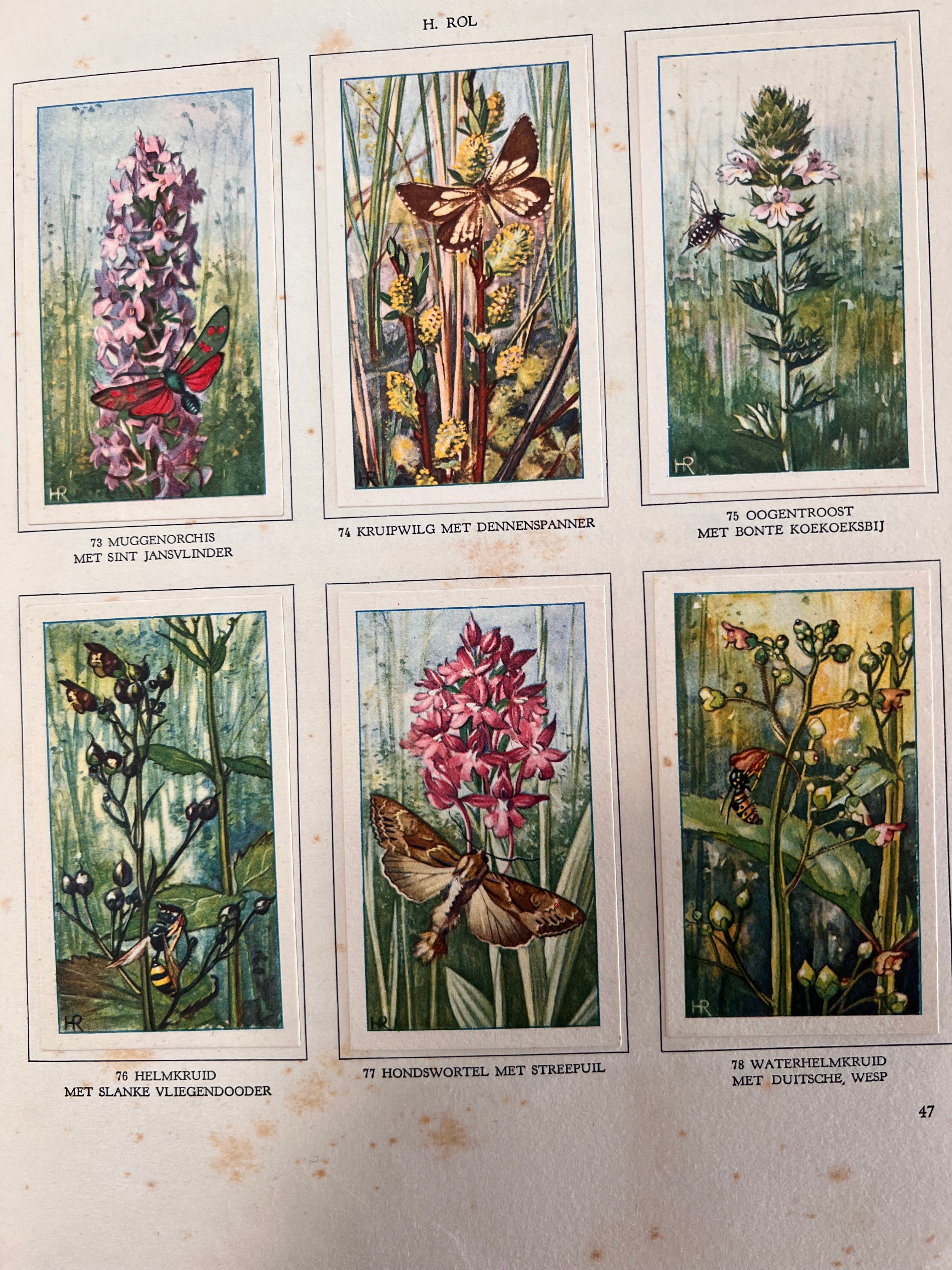 Antiek Verkade plaatjesboek De Bloemen en haar vrienden