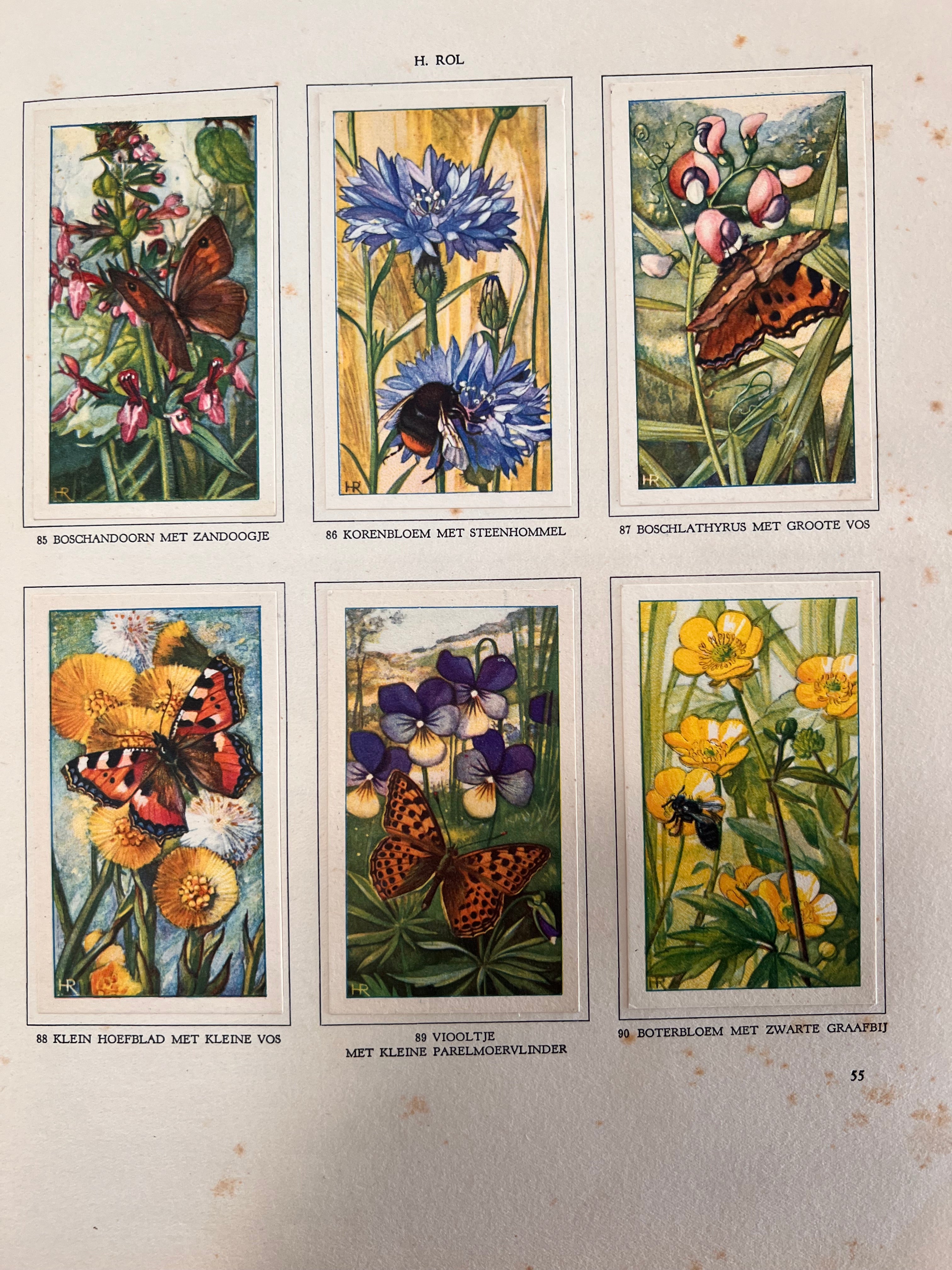 Antiek Verkade plaatjesboek De Bloemen en haar vrienden