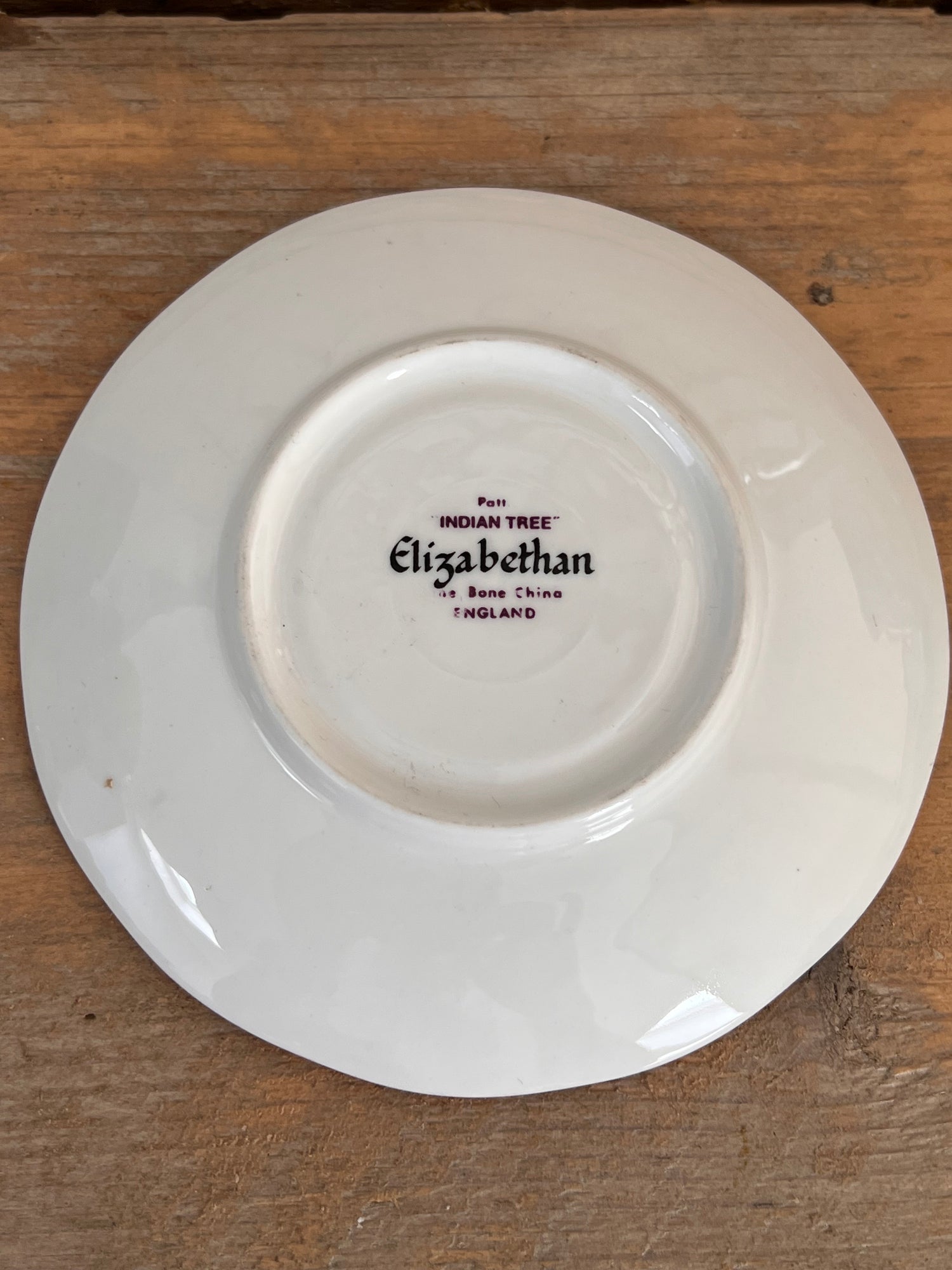 Elisabethan cup and saucer Indian Tree