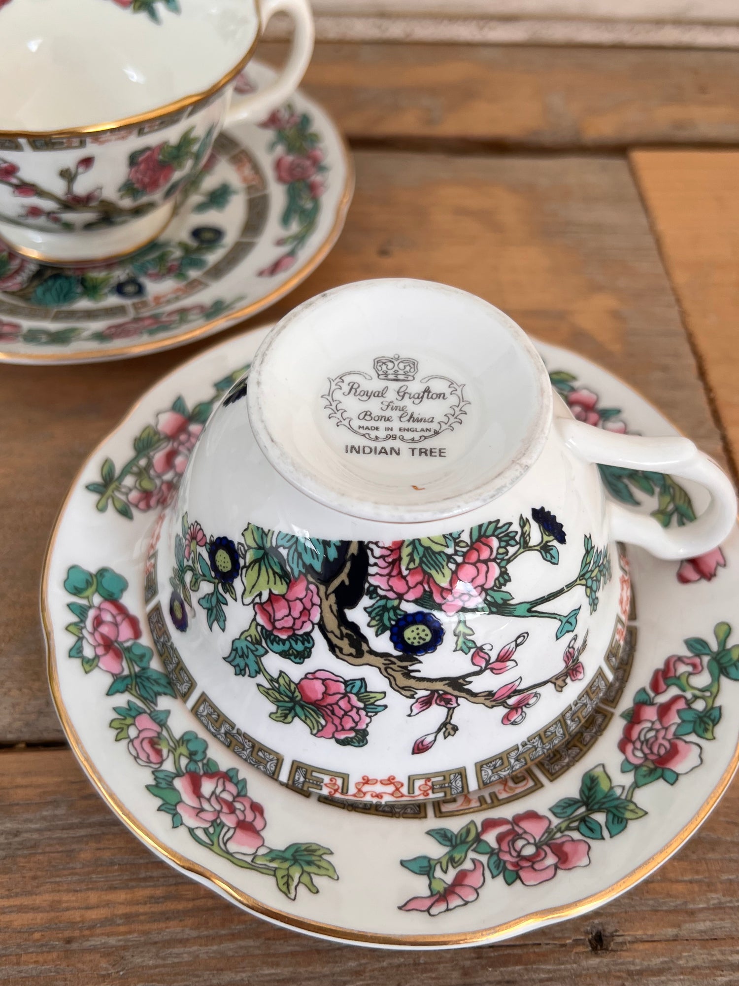 Peony teacup Indian Tree