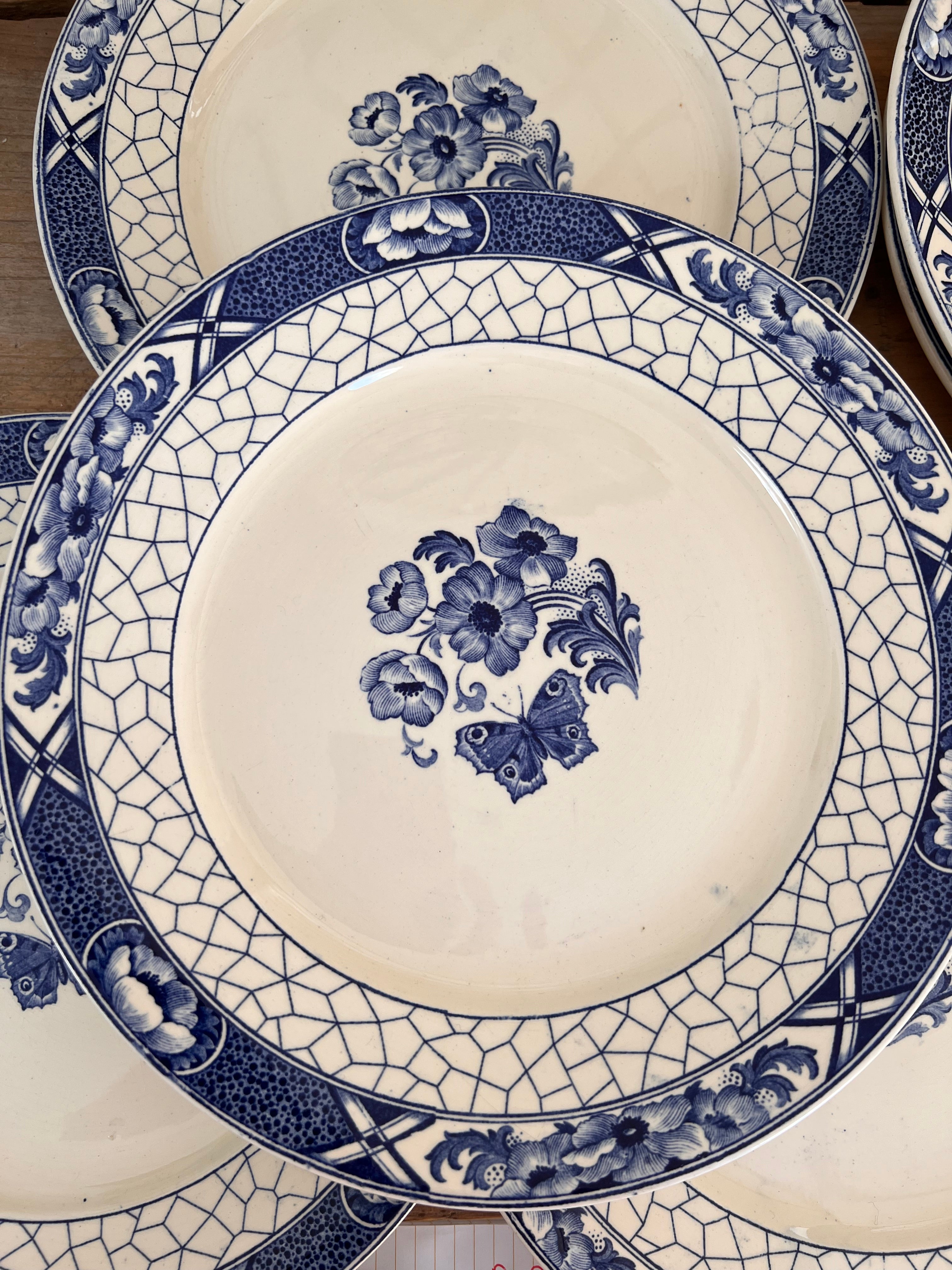 Dinner plate Butterfly