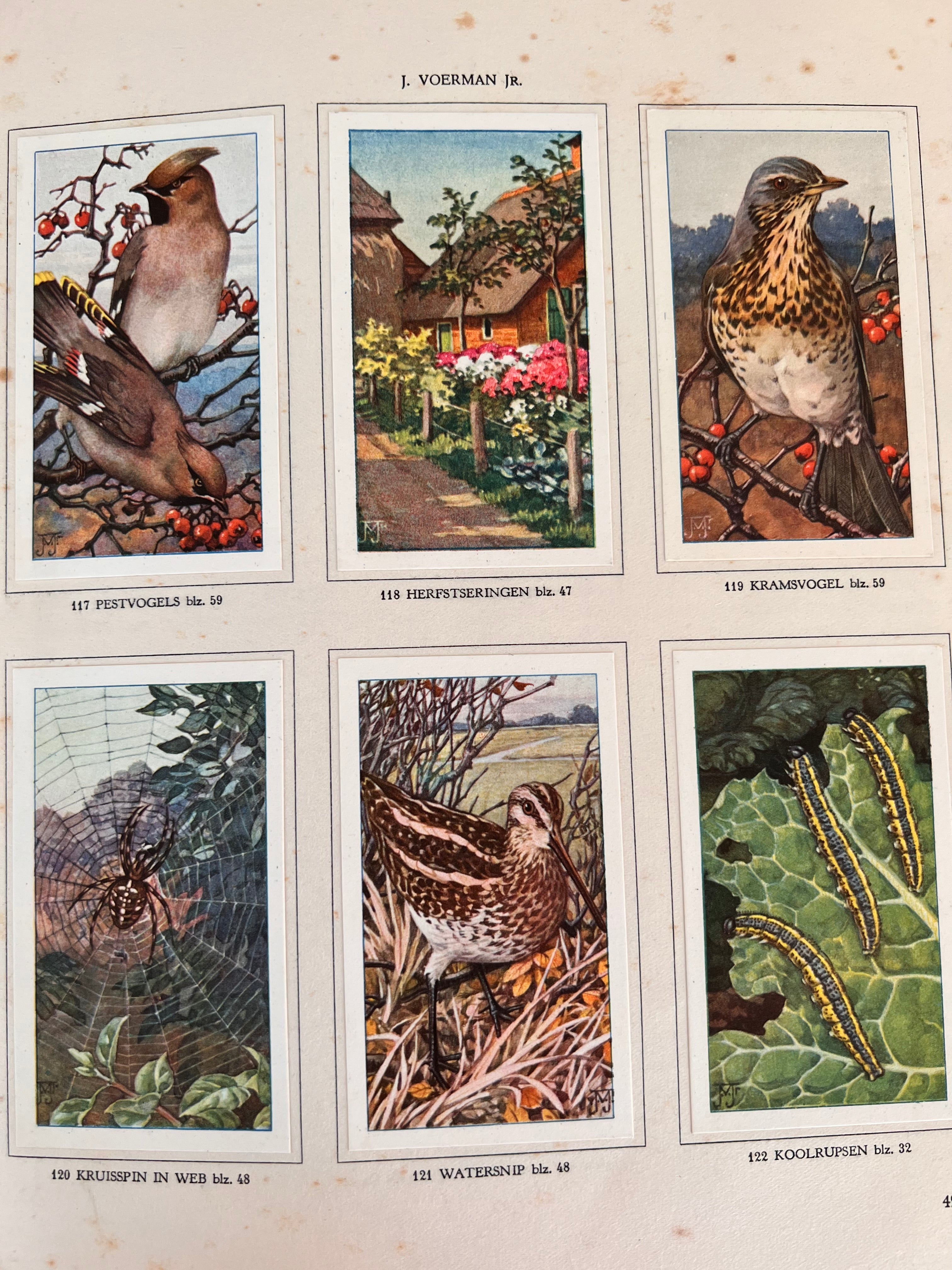 Verkade plaatjesboek De Boerderij