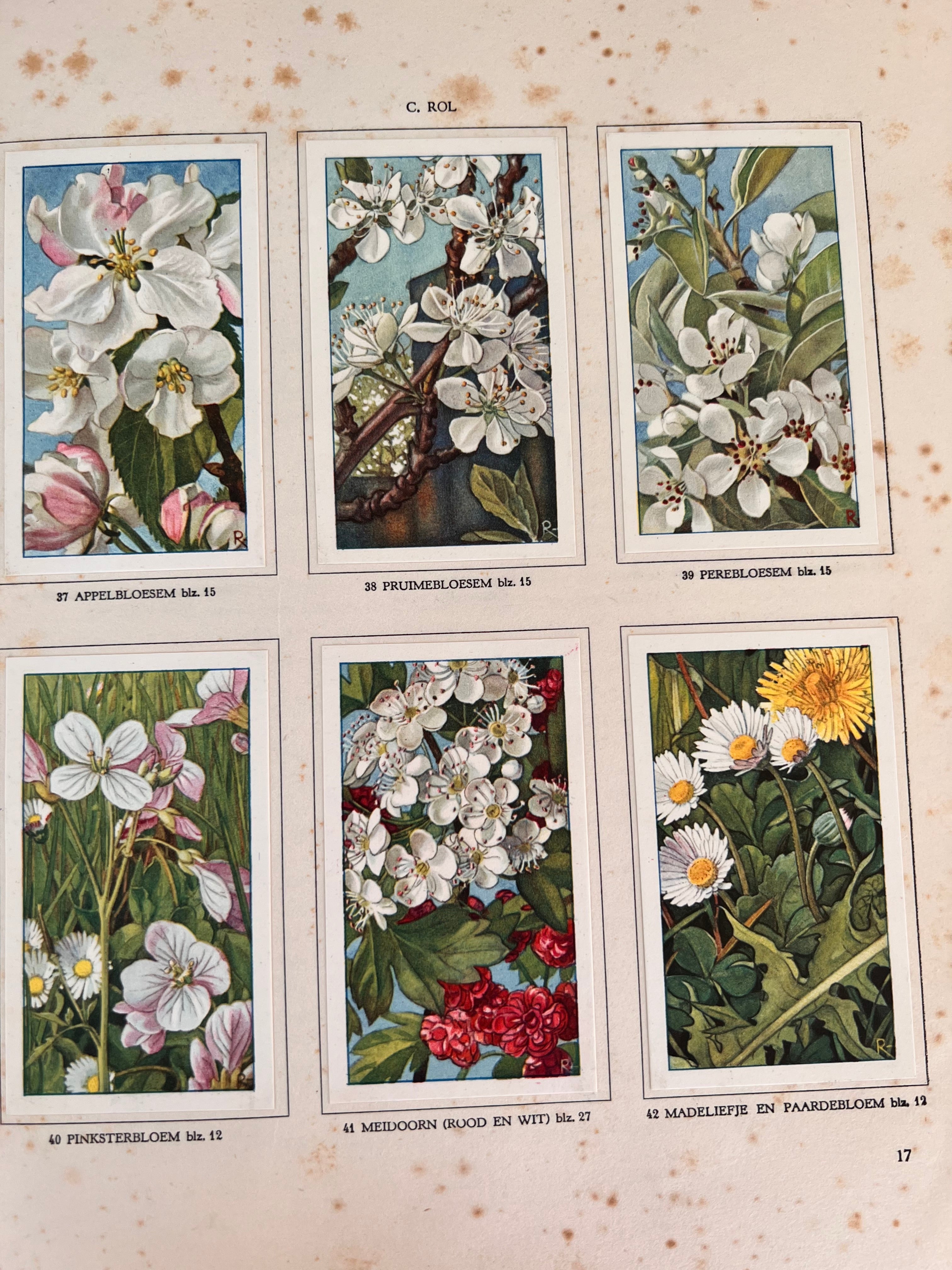 Verkade plaatjesboek De Boerderij