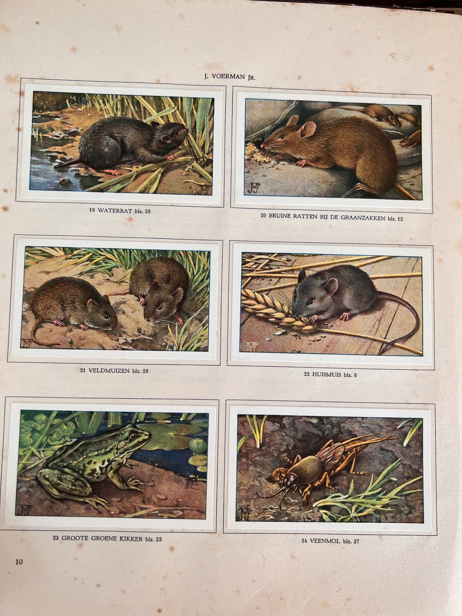 Verkade Bilderbuch The Farm