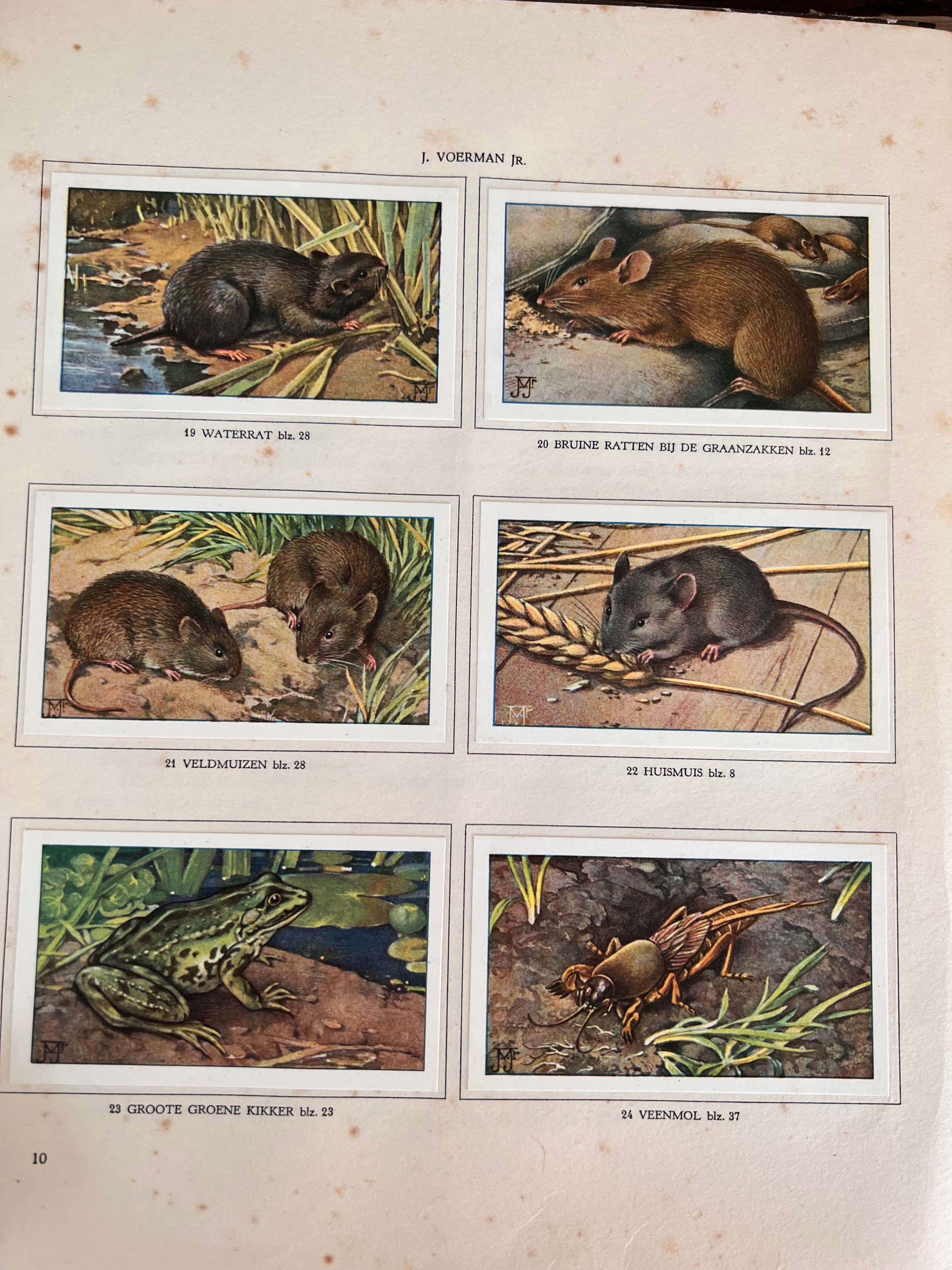 Verkade plaatjesboek De Boerderij