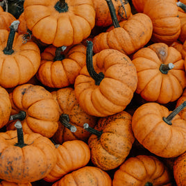 Brocante herfstschatten in warme kleuren