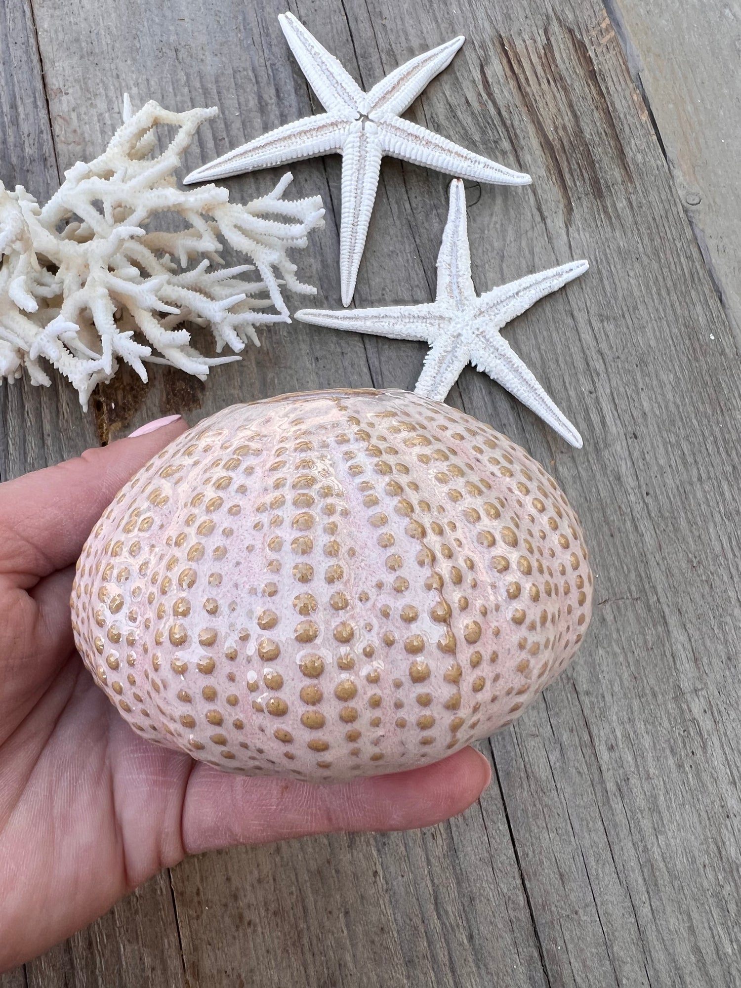 - vaasje zee-egel &amp;nbsp;
- zee-egel vaasje beige &amp;nbsp;
- decoratief vaasje maritiem &amp;nbsp;
- beige vaasje interieur &amp;nbsp;
- klein vaasje bloemenschaal &amp;nbsp;
- uniek vaasje natuur inspiratie &amp;nbsp;
- zee-egel decoratie &amp;nbsp;
- vaas maritiem design