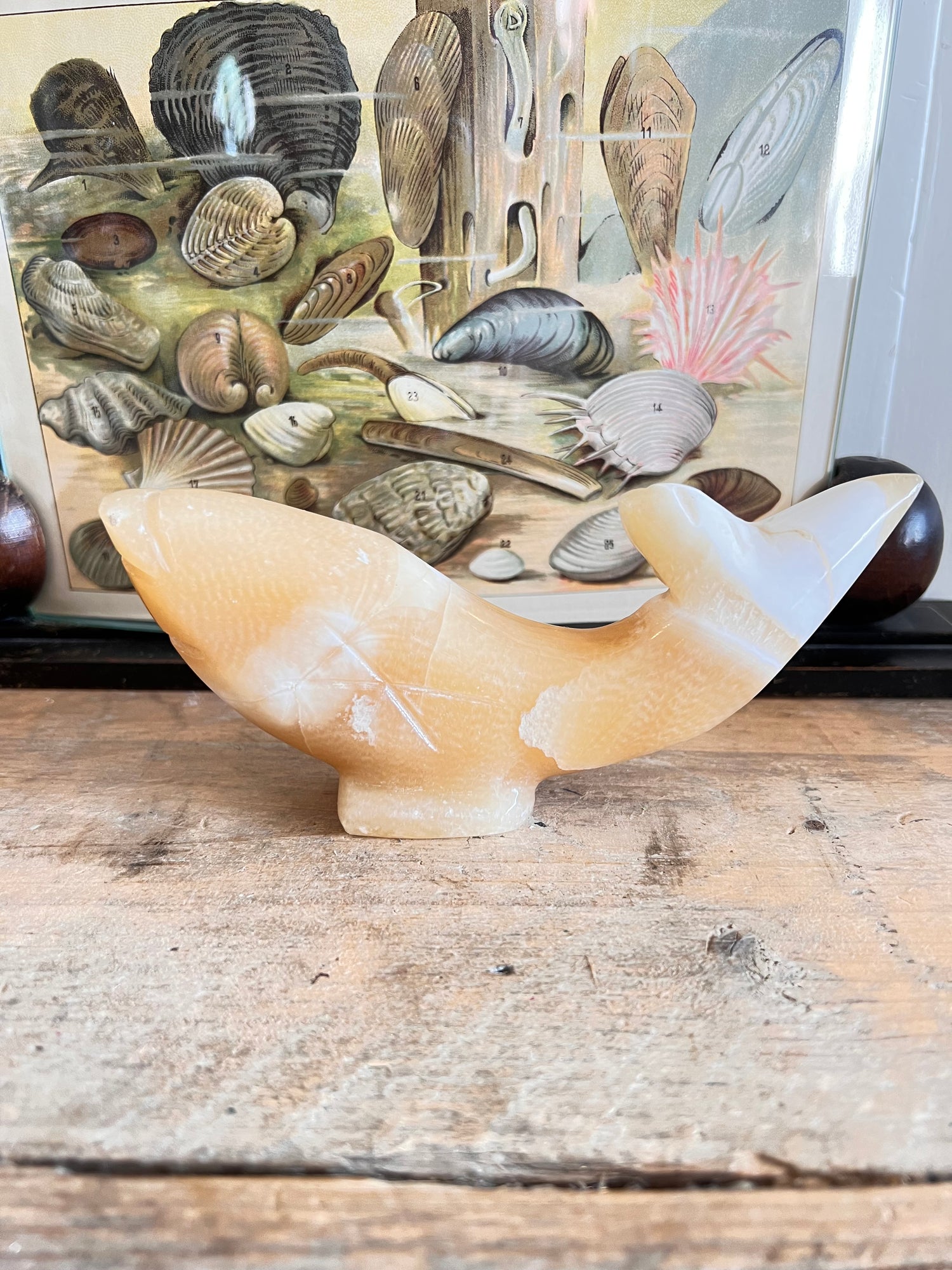 - vintage visbeeldje Albast &amp;nbsp;
- Albast vis uit Egypte &amp;nbsp;
- Albasten beeldje vis &amp;nbsp;
- Egyptisch Albast decoratie &amp;nbsp;
- vintage decoratieve beelden &amp;nbsp;
- handgemaakt Albast beeldje &amp;nbsp;
- unieke vis decoratie &amp;nbsp;
- Albast souvenirs Egypte 