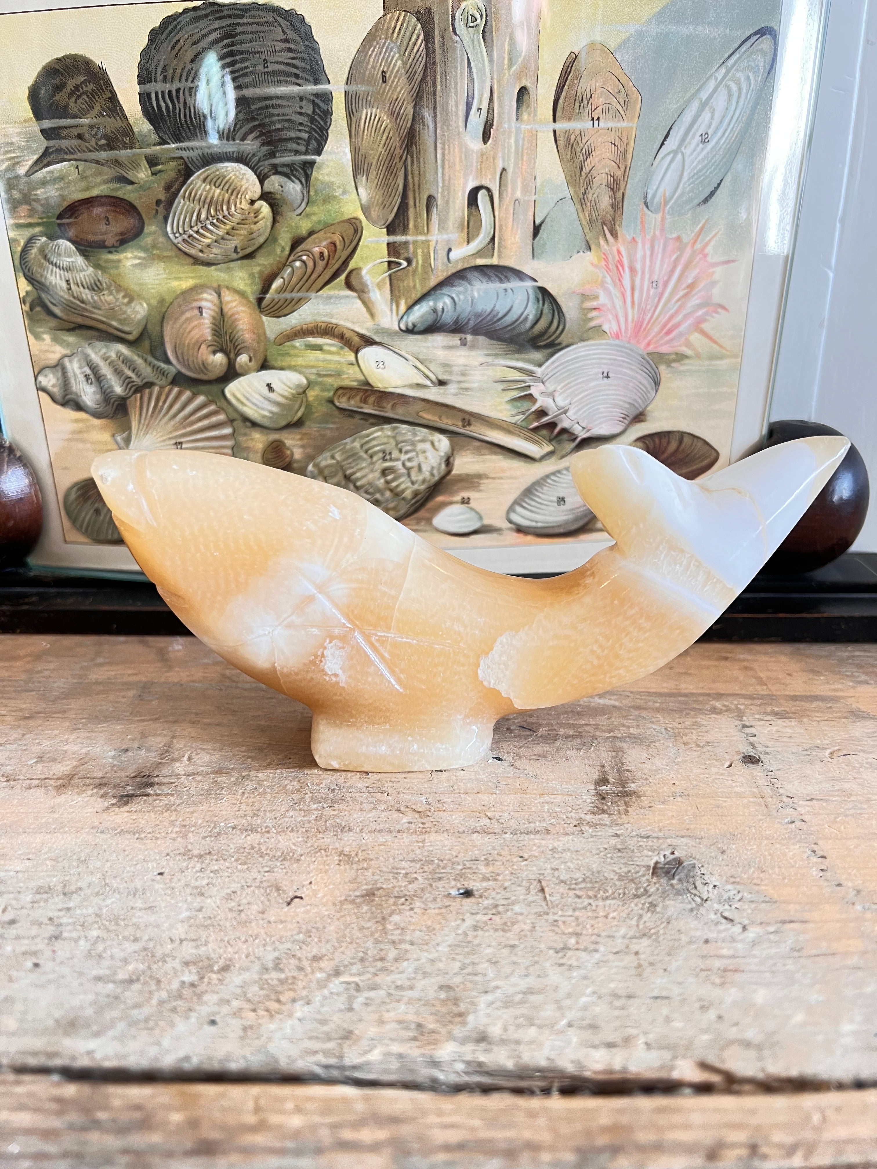  - vintage visbeeldje Albast &amp;nbsp;
- Albast vis uit Egypte &amp;nbsp;
- Albasten beeldje vis &amp;nbsp;
- Egyptisch Albast decoratie &amp;nbsp;
- vintage decoratieve beelden &amp;nbsp;
- handgemaakt Albast beeldje &amp;nbsp;
- unieke vis decoratie &amp;nbsp;
- Albast souvenirs Egypte 